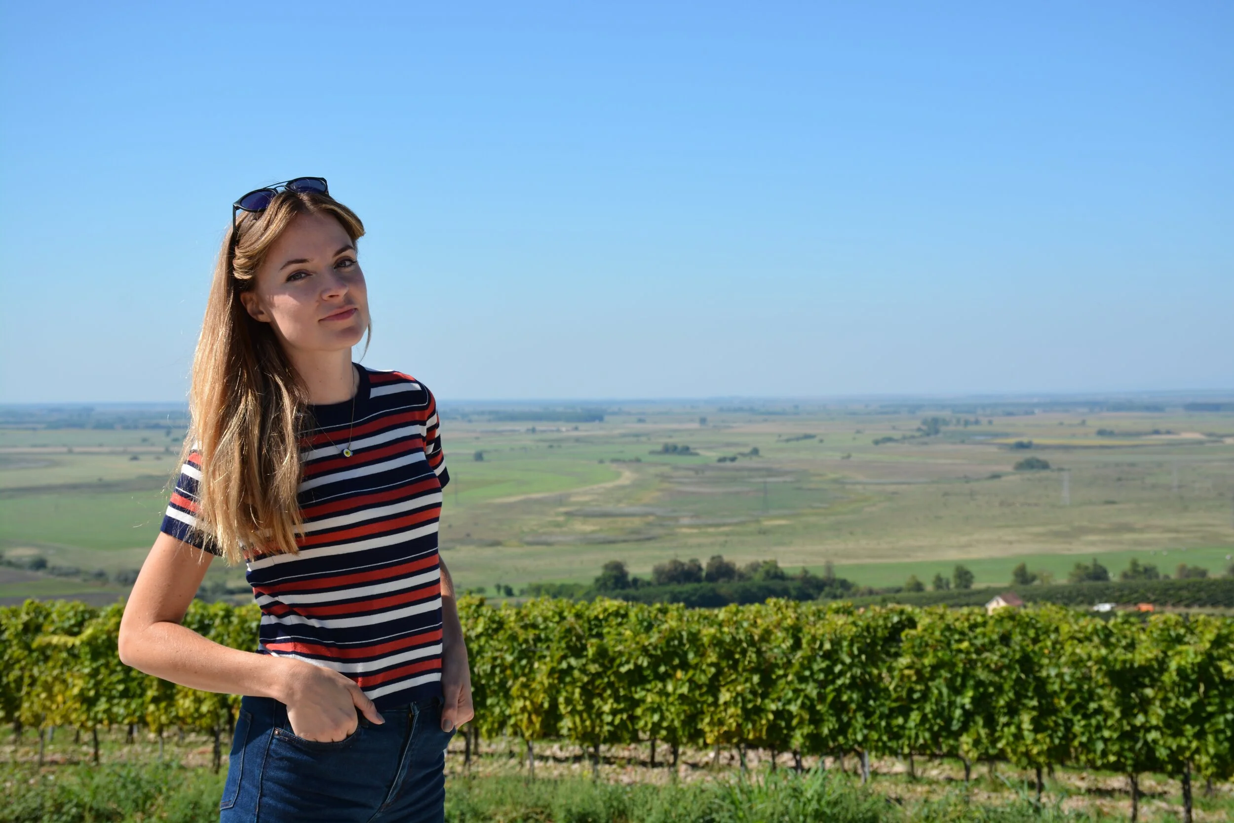 Wine Tariffs Loom