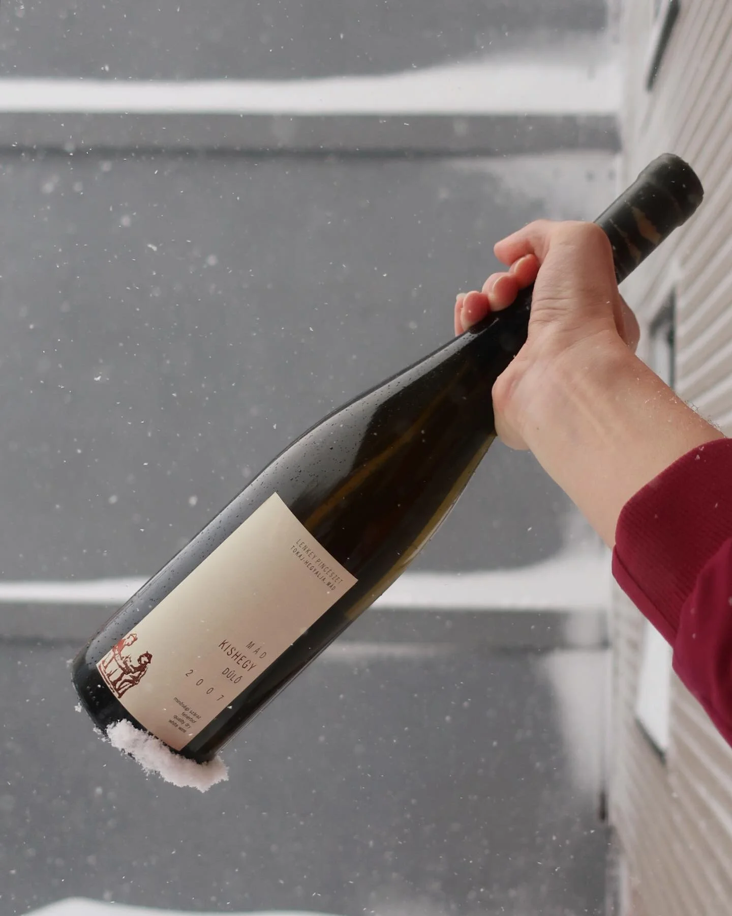 Happy Furmint February! 🔥🐉 ❄️ A little @lenkeypinceszet Kishegy 2007 for your pleasure.