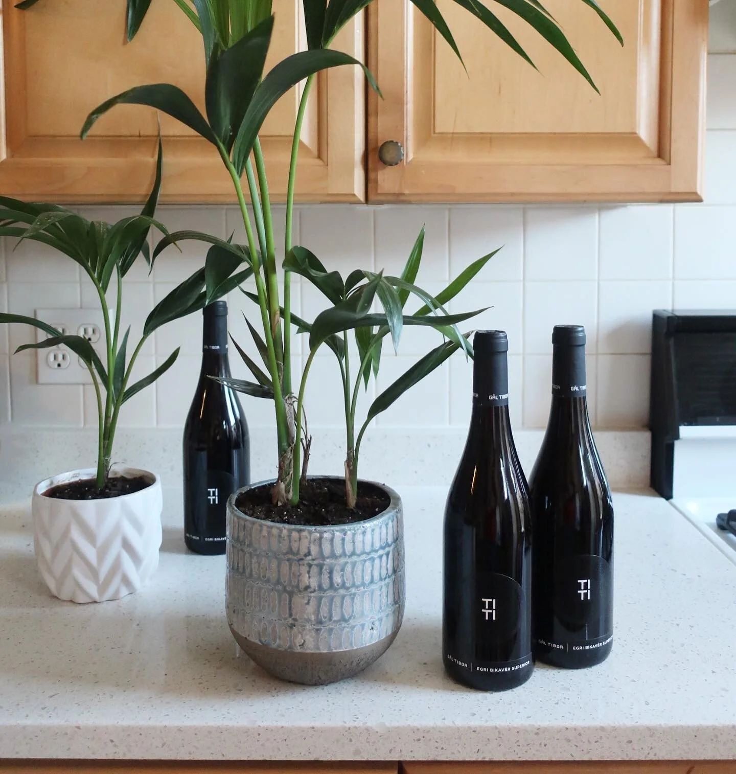 Can hardly keep this bad boy in stock! Bikavér (Bull&rsquo;s Blood) pairs great with indoor living and quarantine activities like gardening, baking and incessant puzzling. @galtiborwinery&rsquo;s Bikavér is medium bodied and earthy, with muddled fo