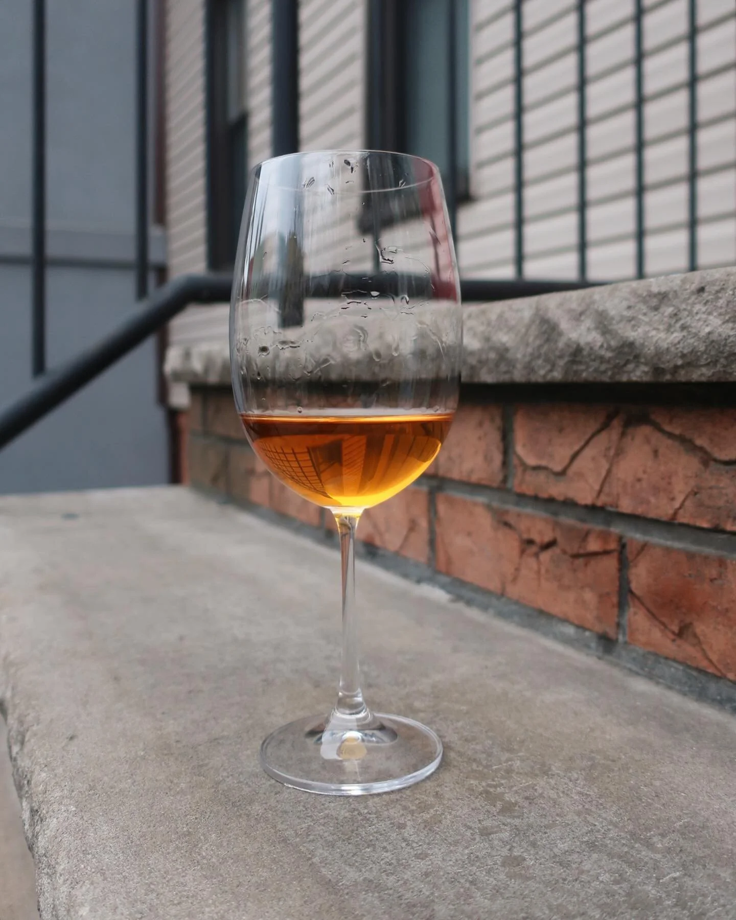 Your Wednesday Jász experience 🍊🍋🍍🥀🌿🧂 &ldquo;Rising Sun&rdquo; 2019: P&aacute;tria, Juhfark, Chardonnay, 4 months skin contact in steel tank.