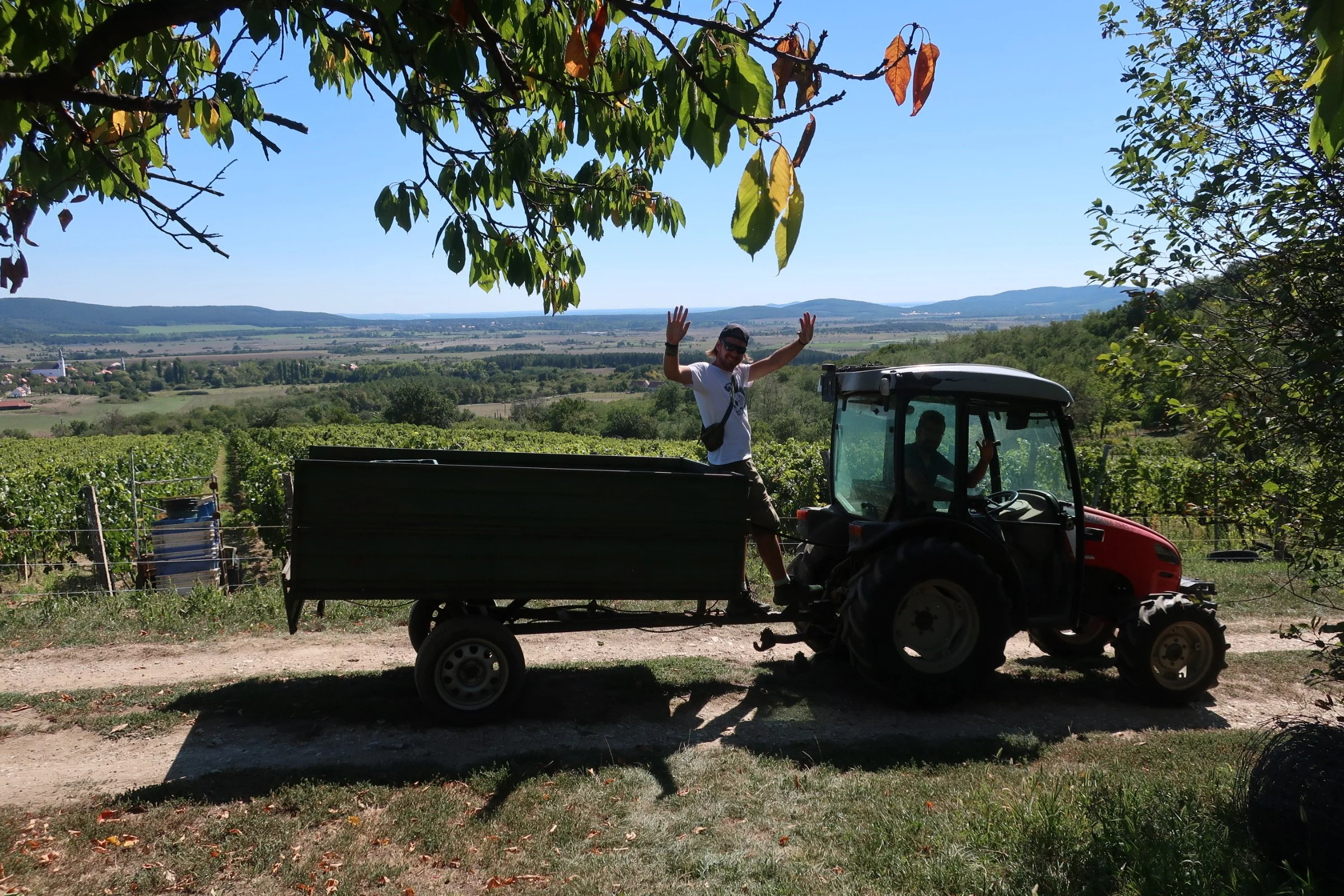 Certifying Organic: The Winemakers Weigh In