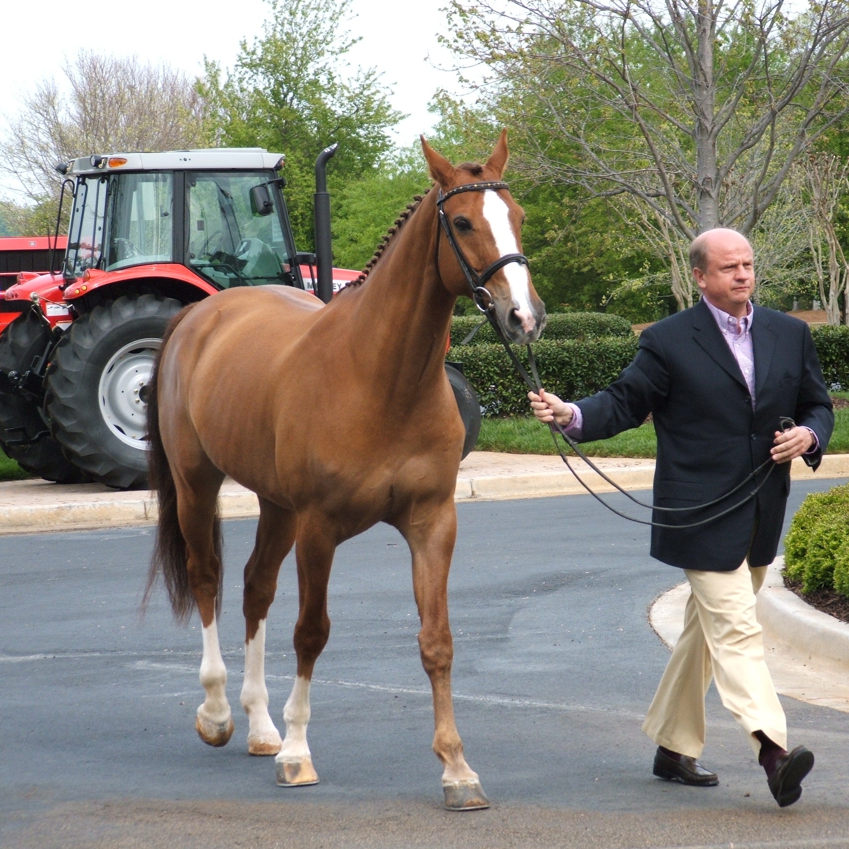 CAREER: Horse at AGCO with Tractors.JPG