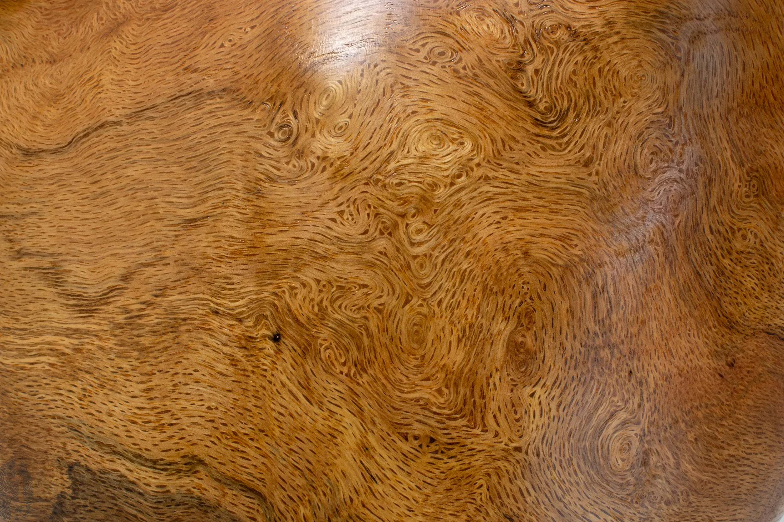 JLR_SHOP.IMG_0-V080_03 copy.jpg