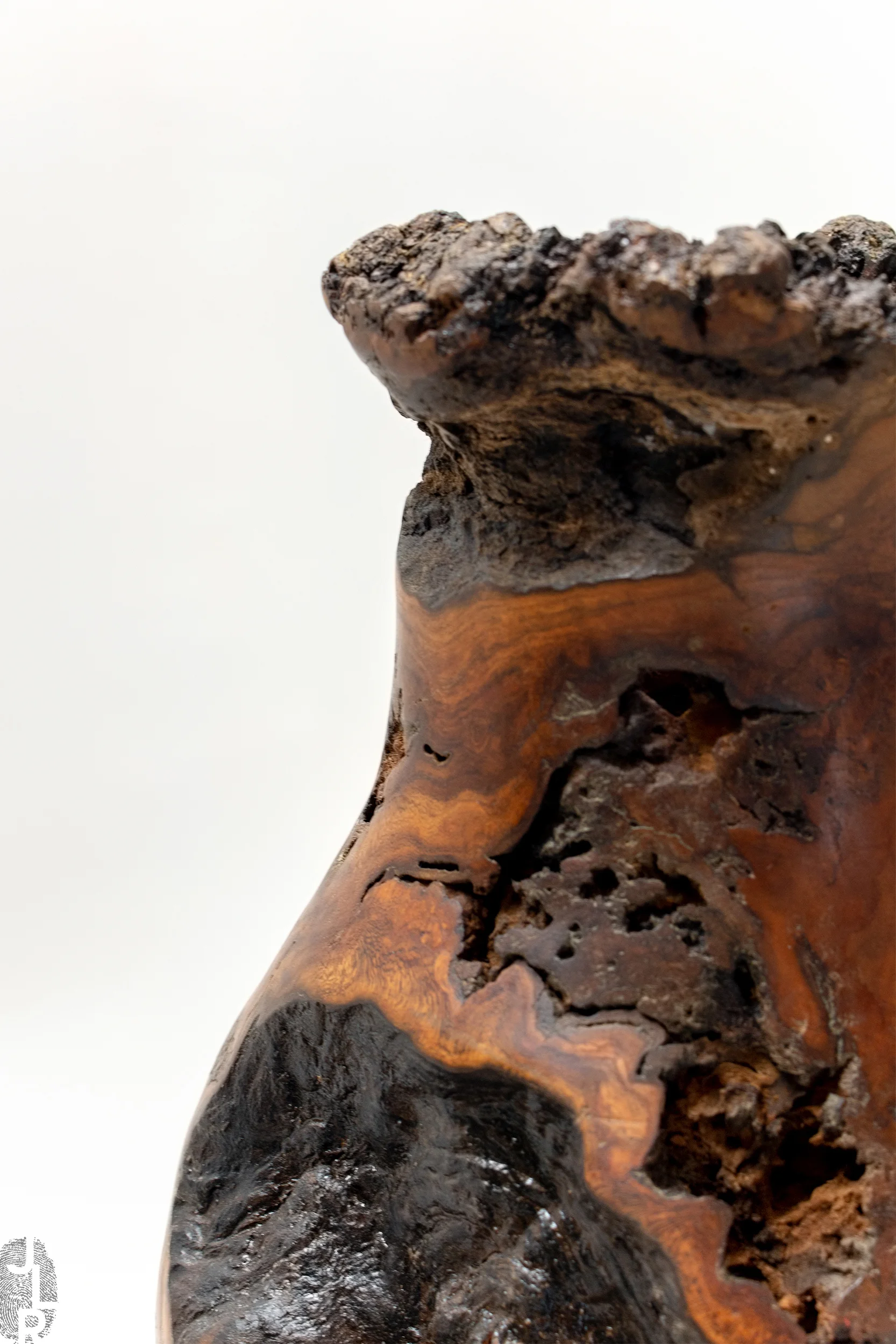 JLR_SHOP.IMG_0-V082_02 copy.jpg