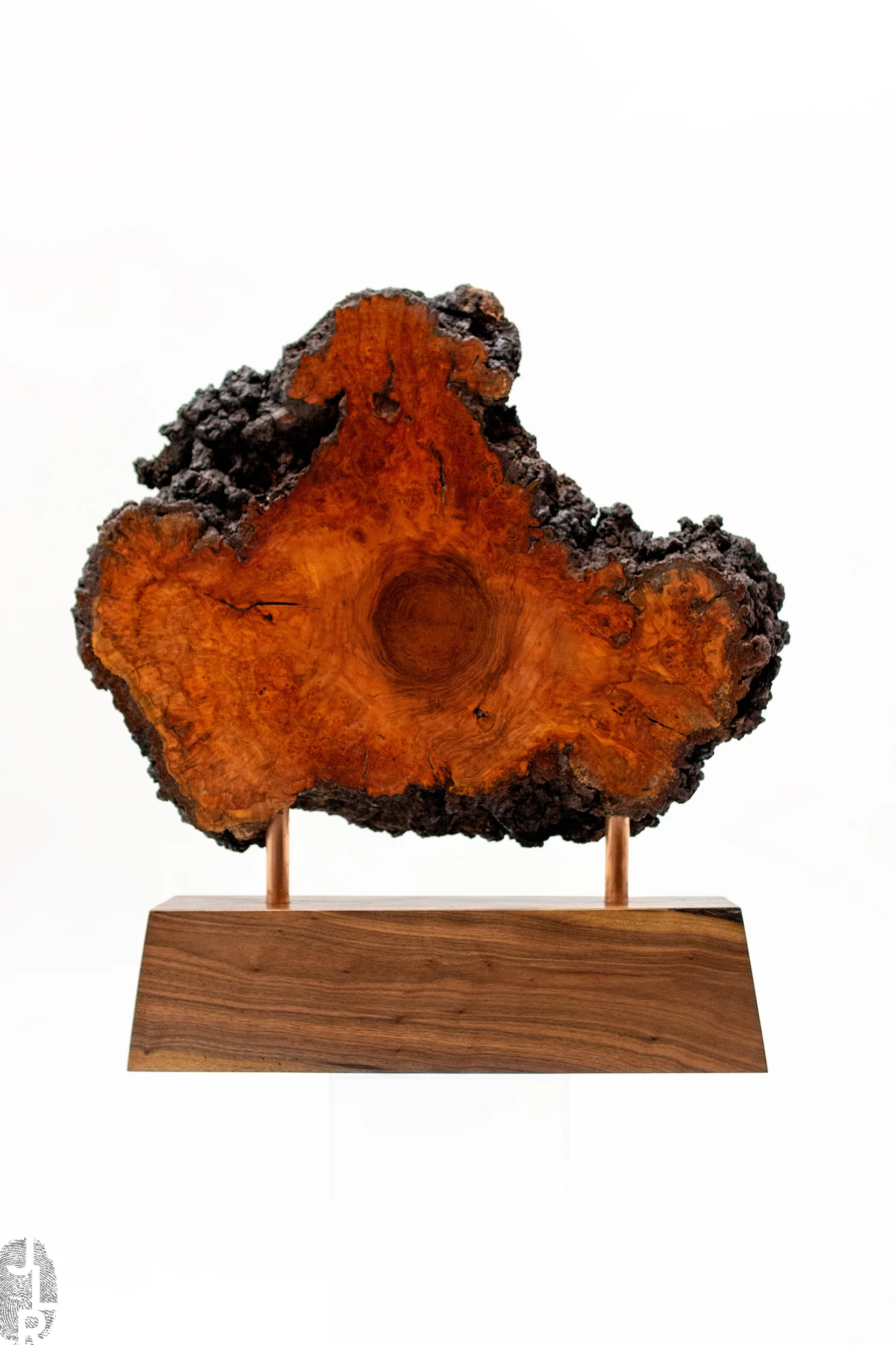 JLR_SHOP.IMG_0-S213_01 copy.jpg