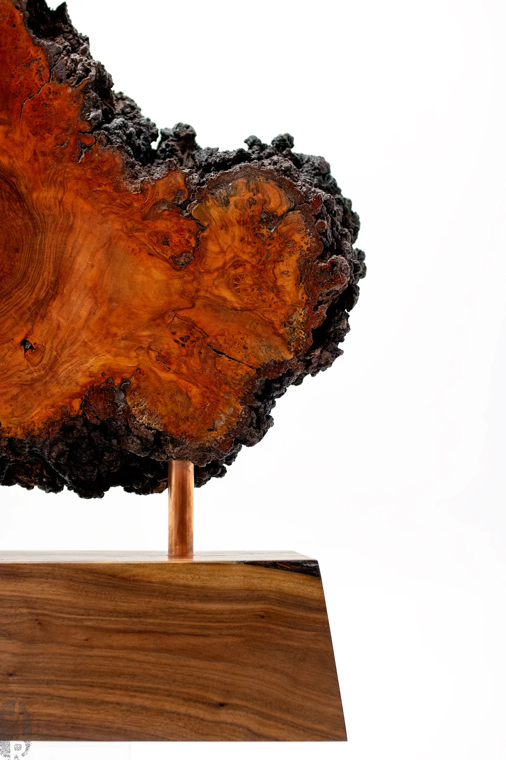 JLR_SHOP.IMG_0-S213_03 copy.jpg