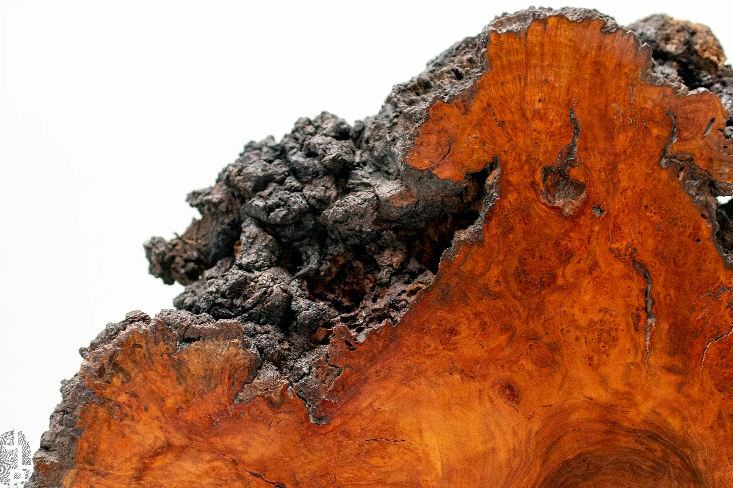 JLR_SHOP.IMG_0-S213_04 copy.jpg