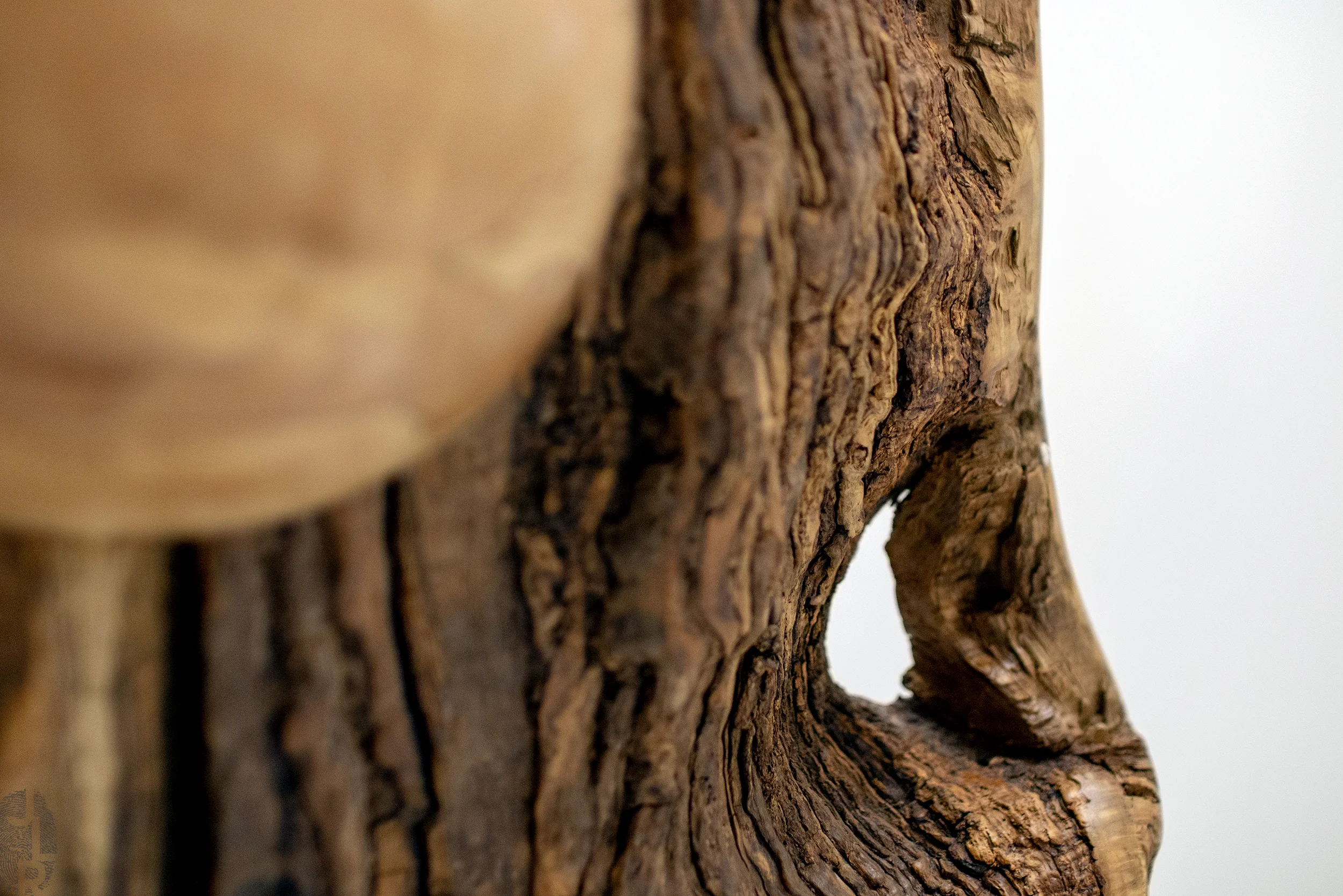 JLR_SHOP.IMG_0-S210_08 copy.jpg