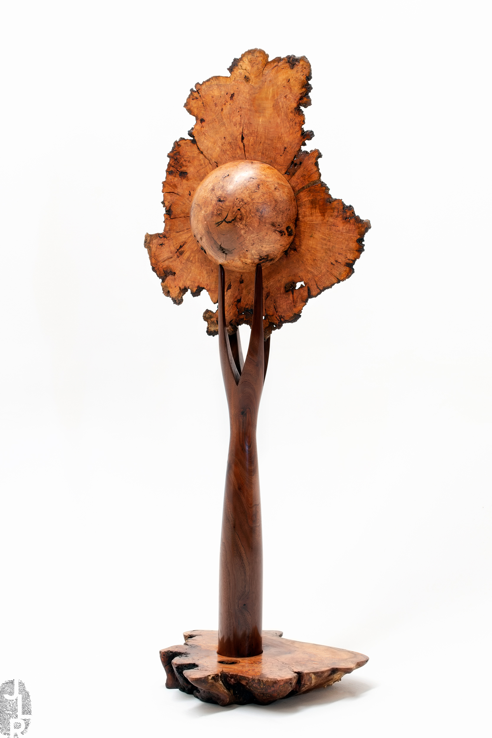 JLR_SHOP.IMG_0-S206_01 copy.jpg