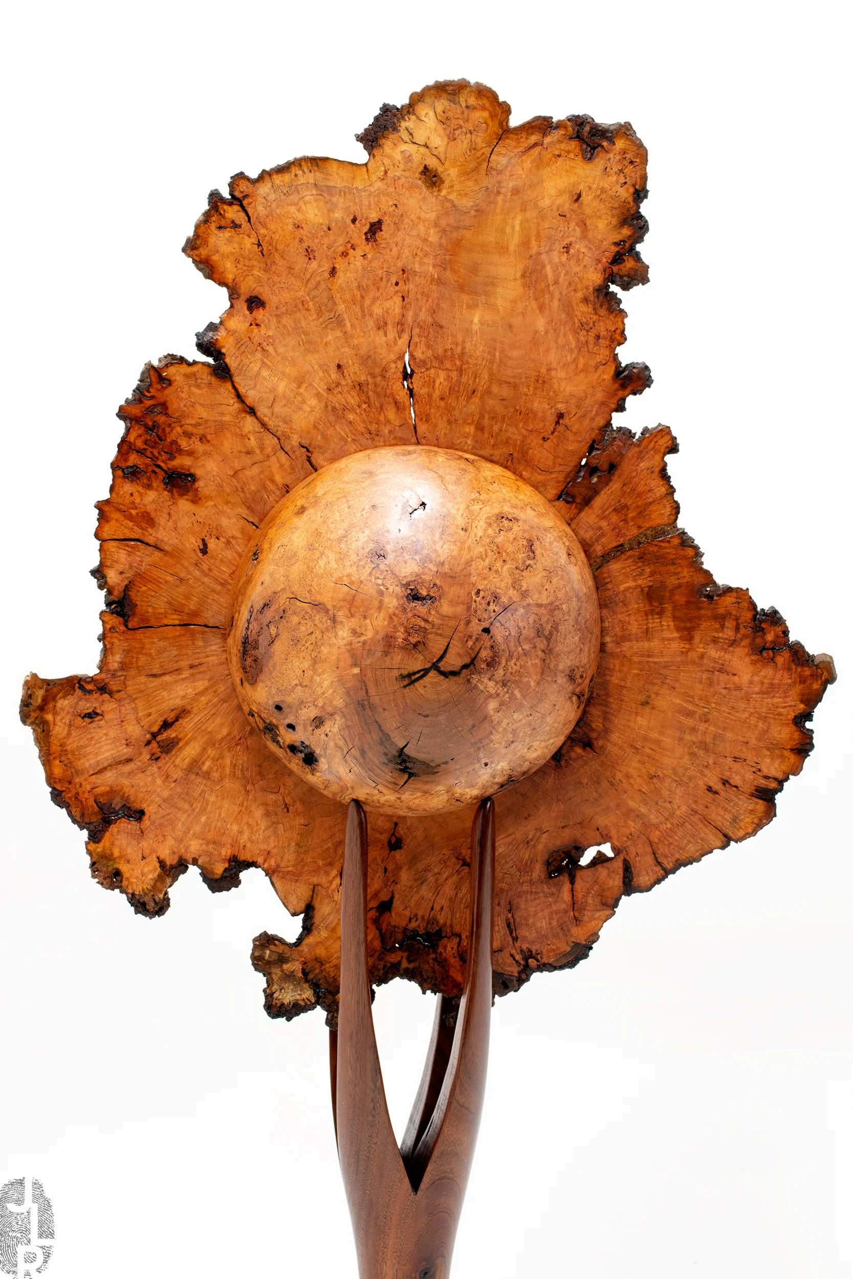 JLR_SHOP.IMG_0-S206_02 copy.jpg