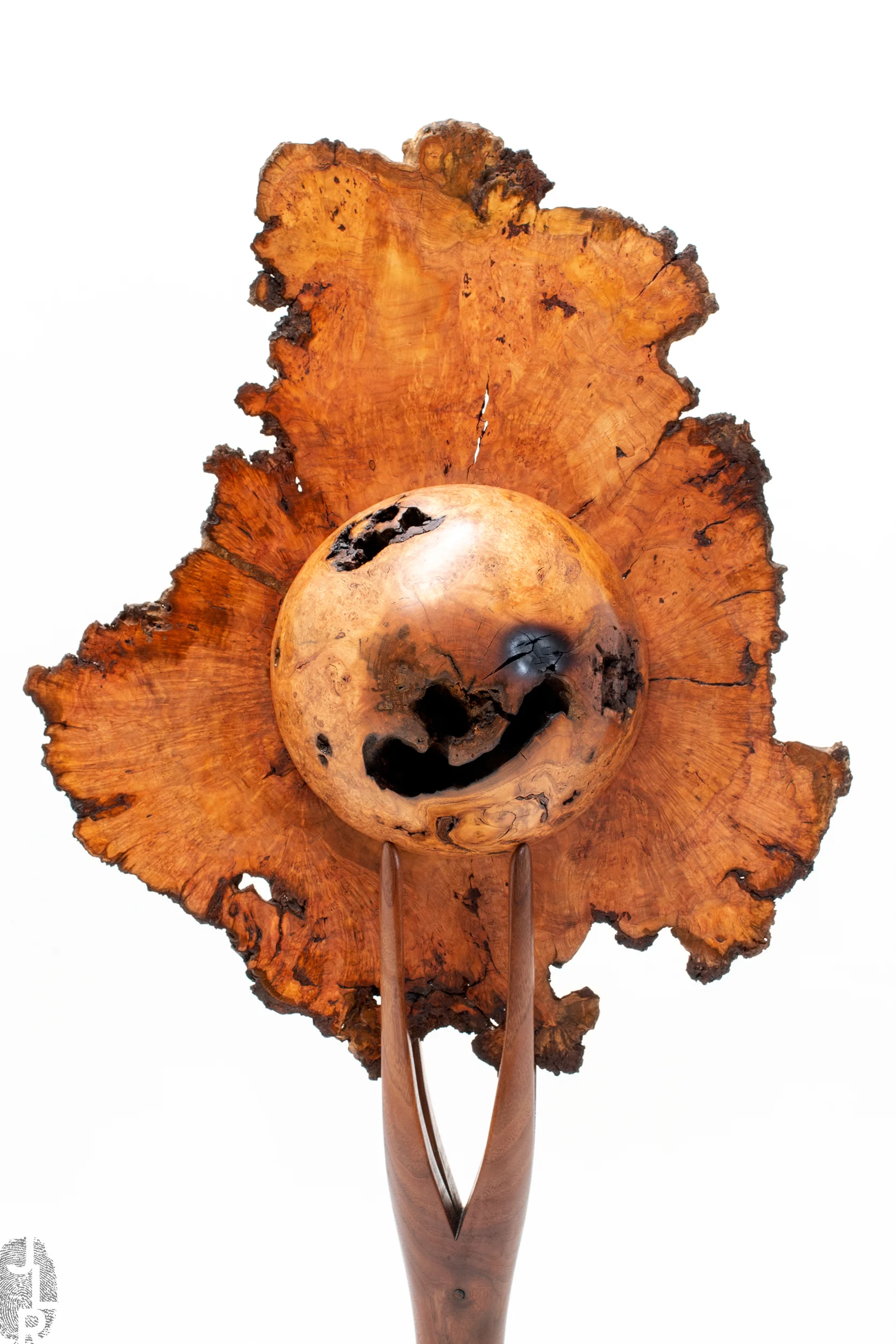 JLR_SHOP.IMG_0-S206_04 copy.jpg