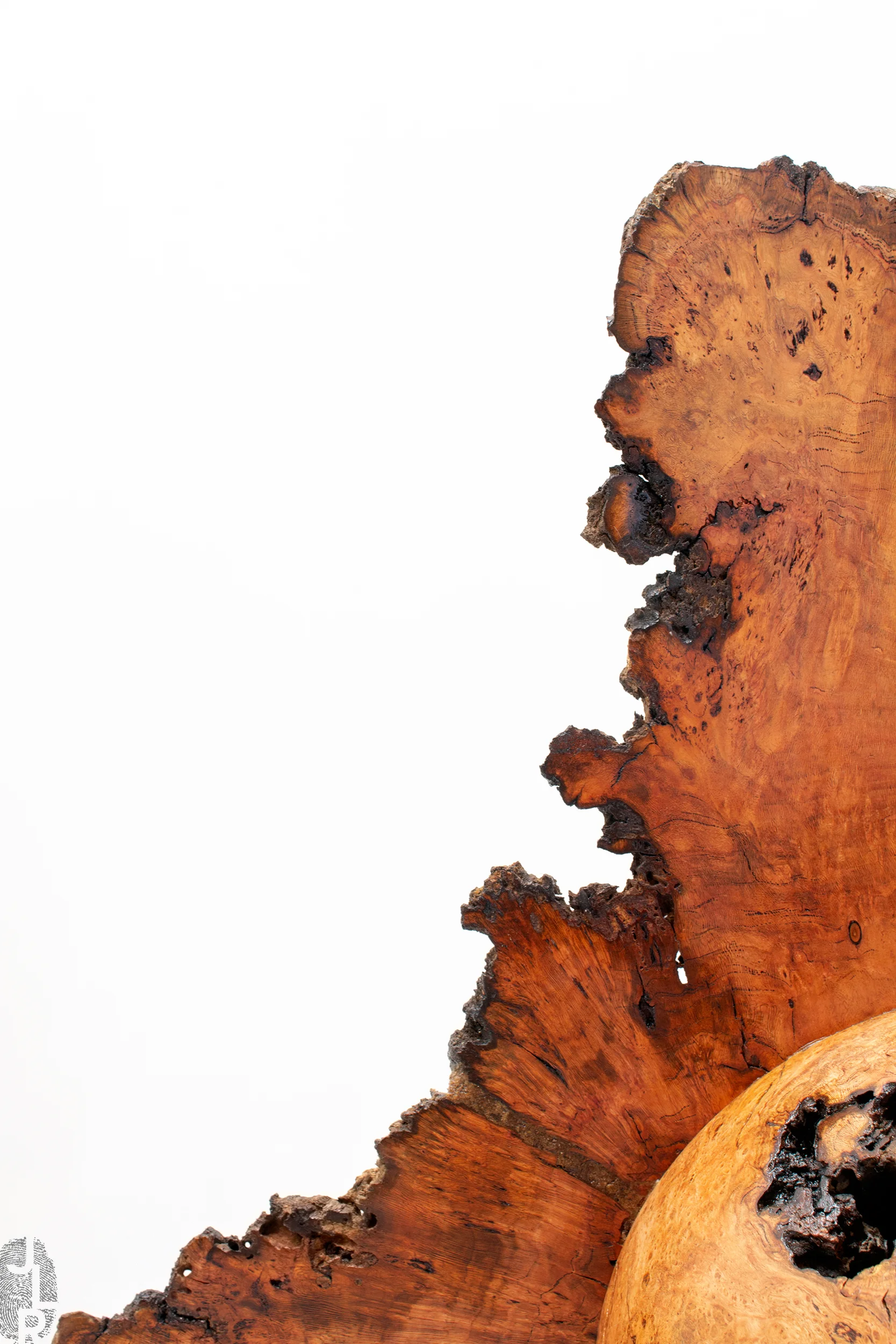 JLR_SHOP.IMG_0-S206_05 copy.jpg