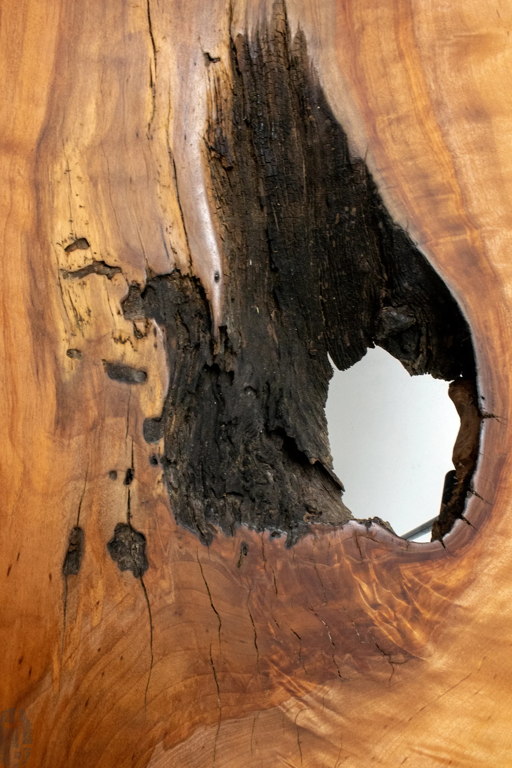 JLR_SHOP.IMG_0-F102_03 copy.jpg