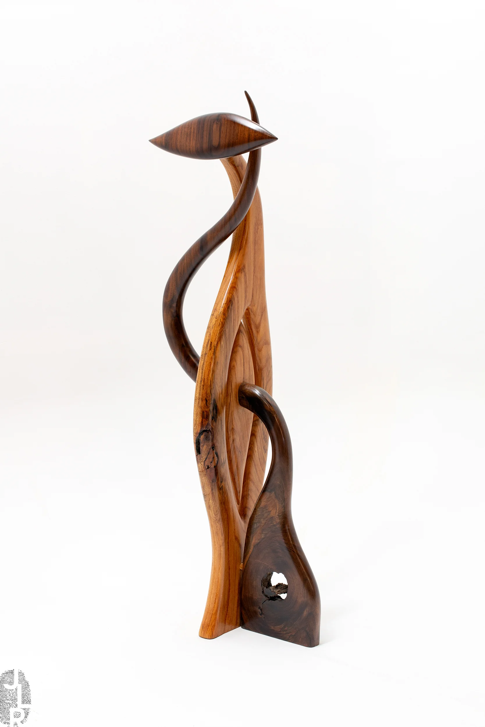 #209 side angle view