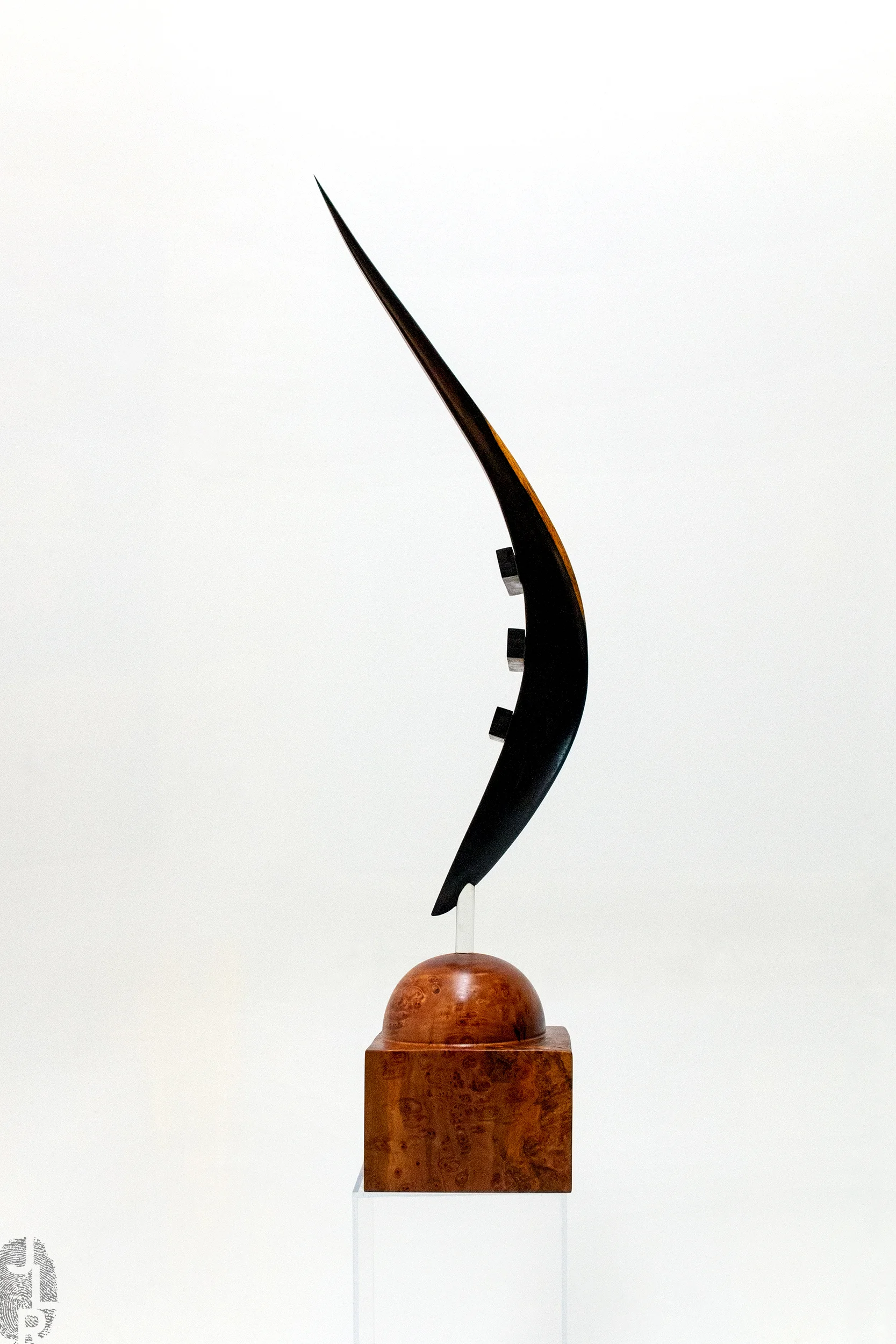 #217 reverse side view