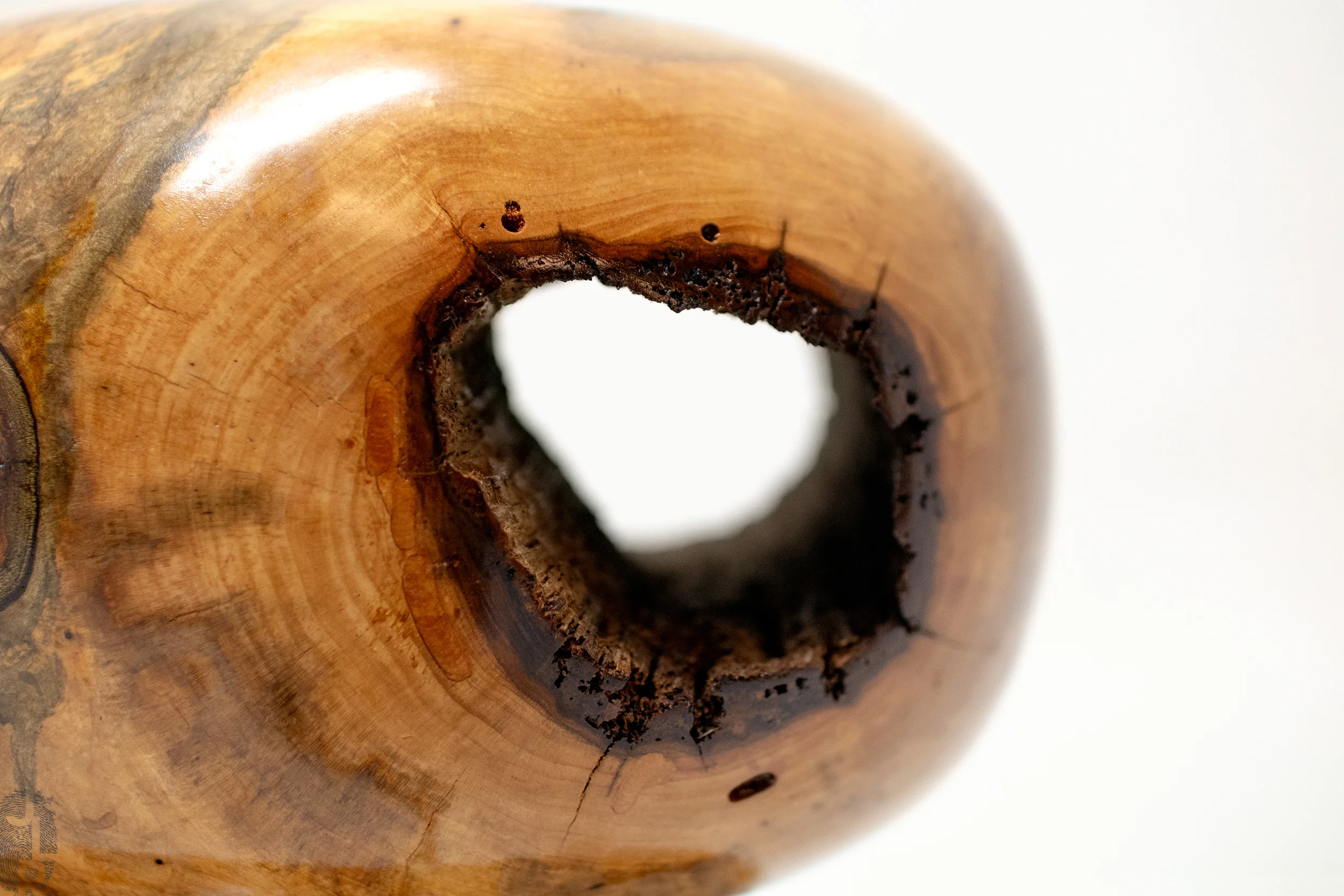 #218 close-up reverse