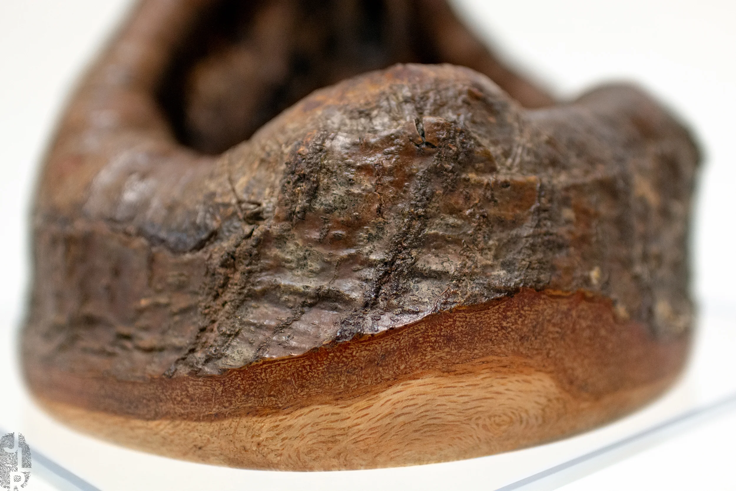 #220 bottom close-up