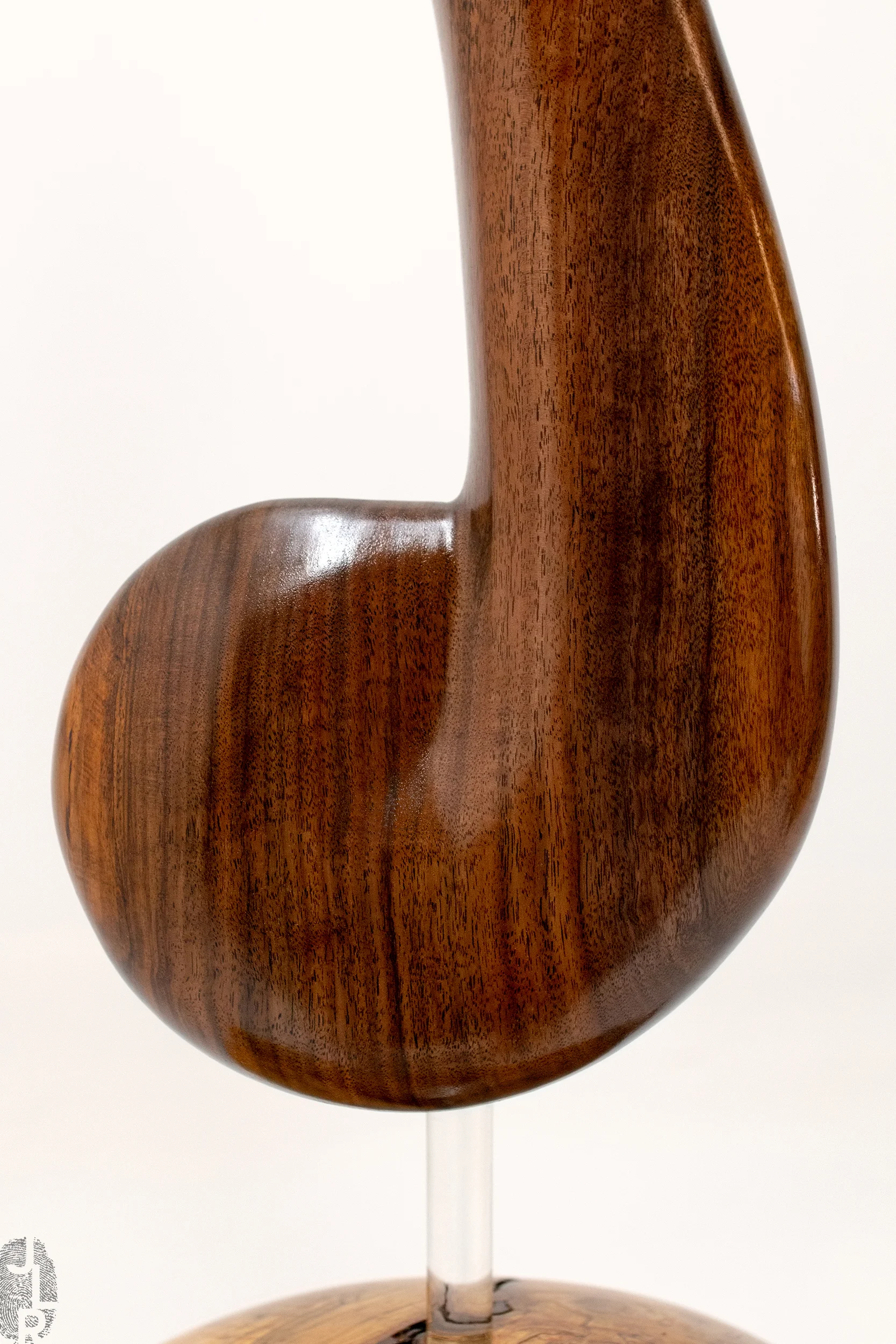 Enlightened close-up