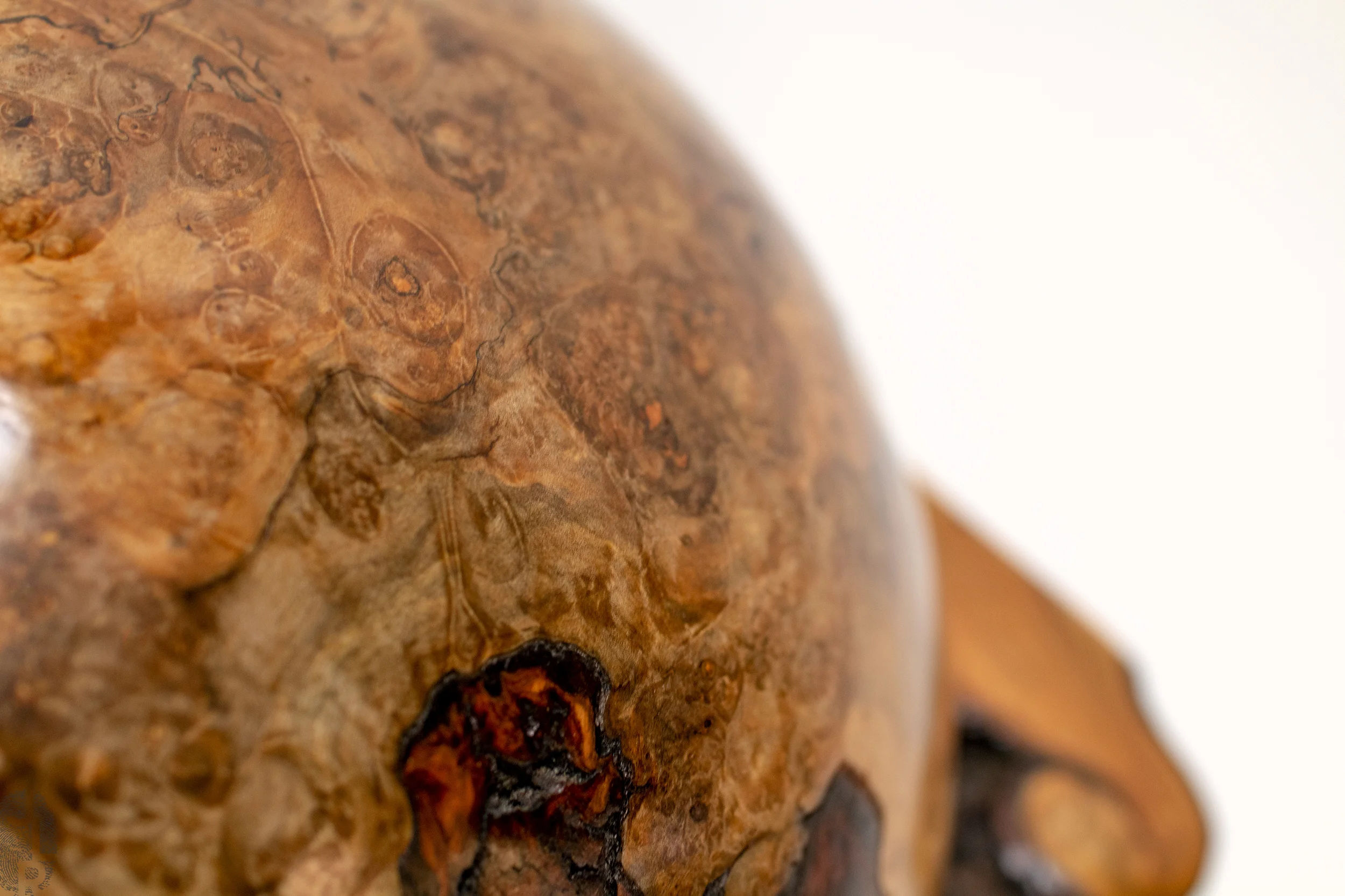 Enlightened grain close-up