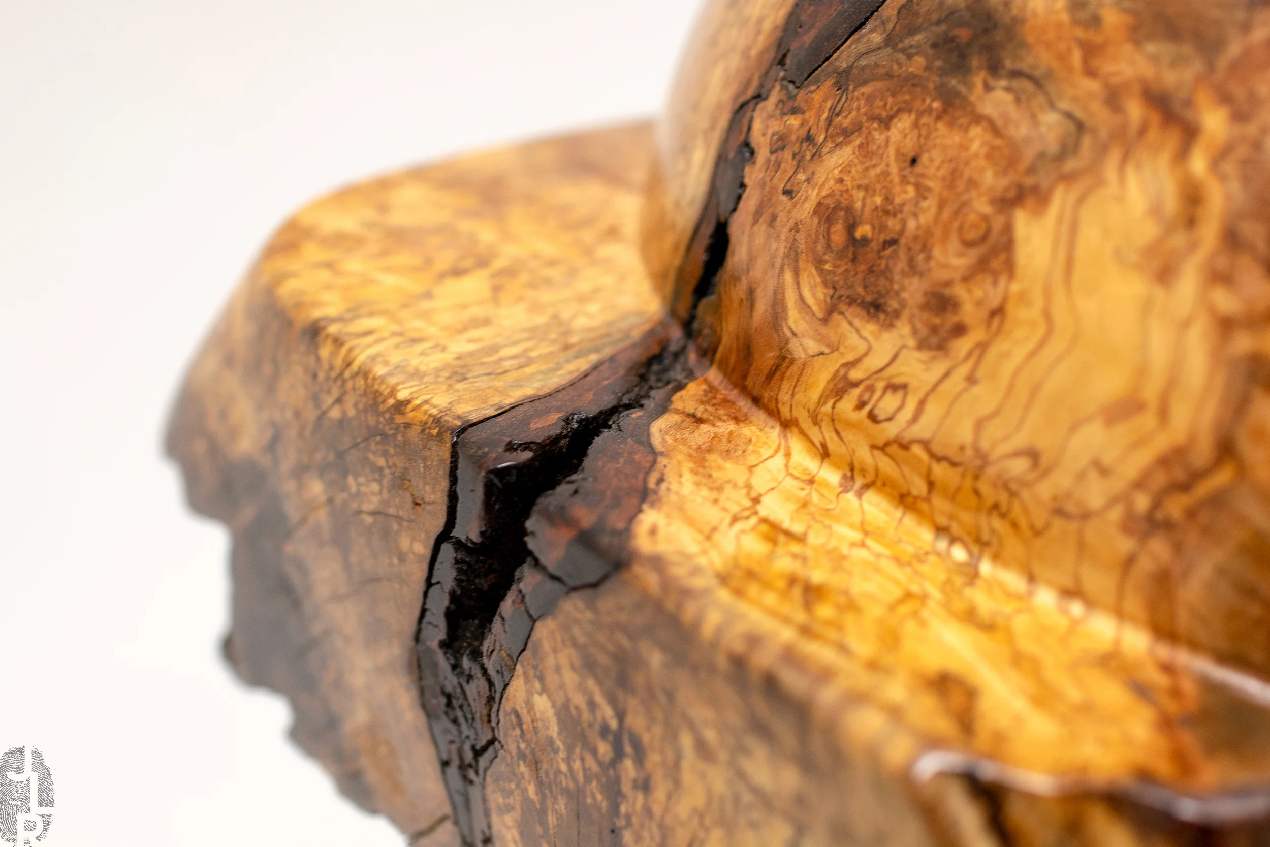 Enlightened base close-up