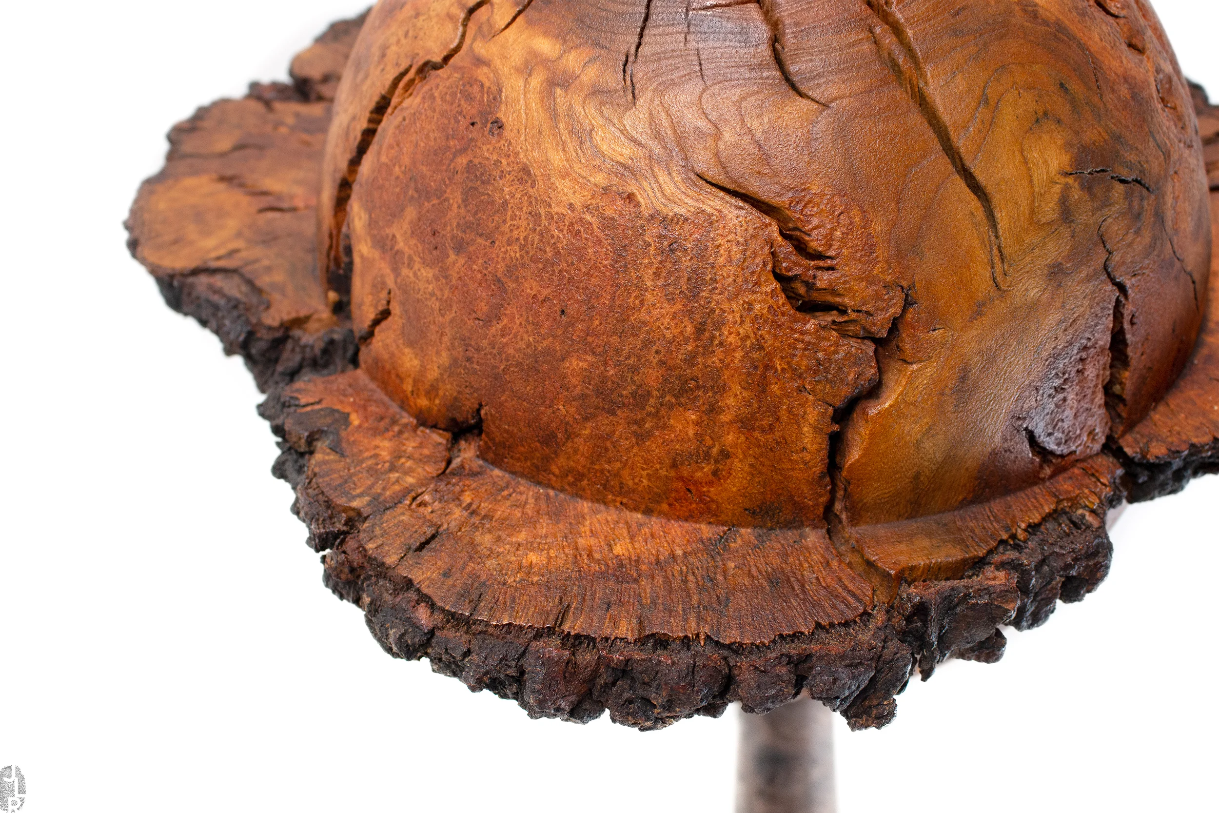 JLR_SHOP.IMG_0-S224_07 copy.jpg