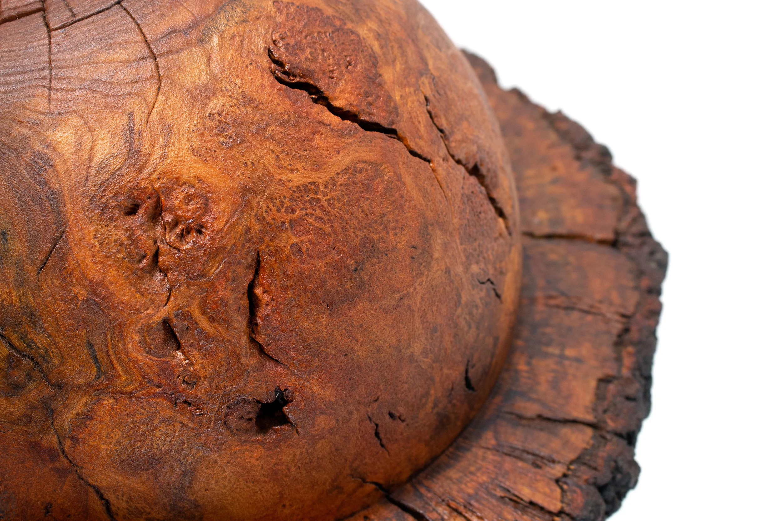 JLR_SHOP.IMG_0-S224_06 copy.jpg