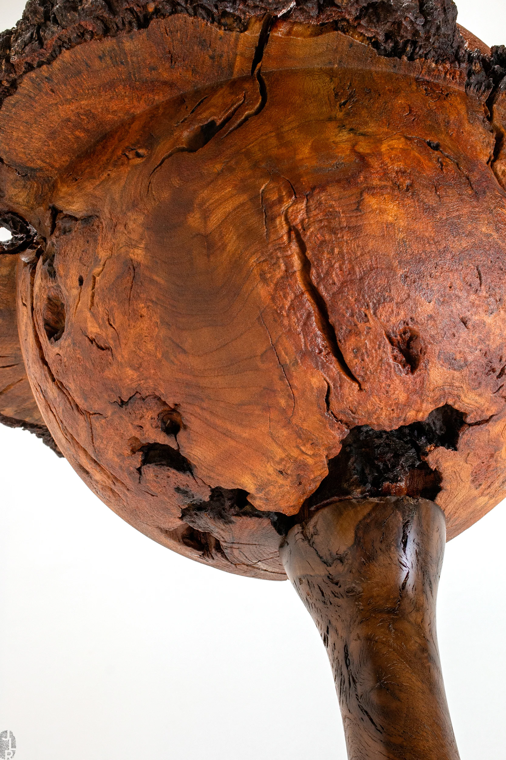 JLR_SHOP.IMG_0-S224_05 copy.jpg