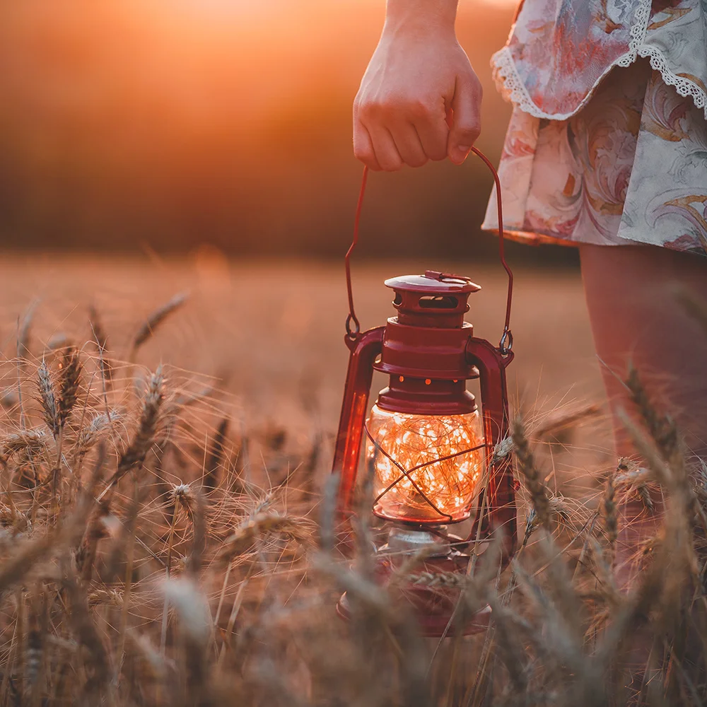 Firefly-Junction-PR-marketing-toronto-gta-york-region-g-stecanella-unsplash.jpg