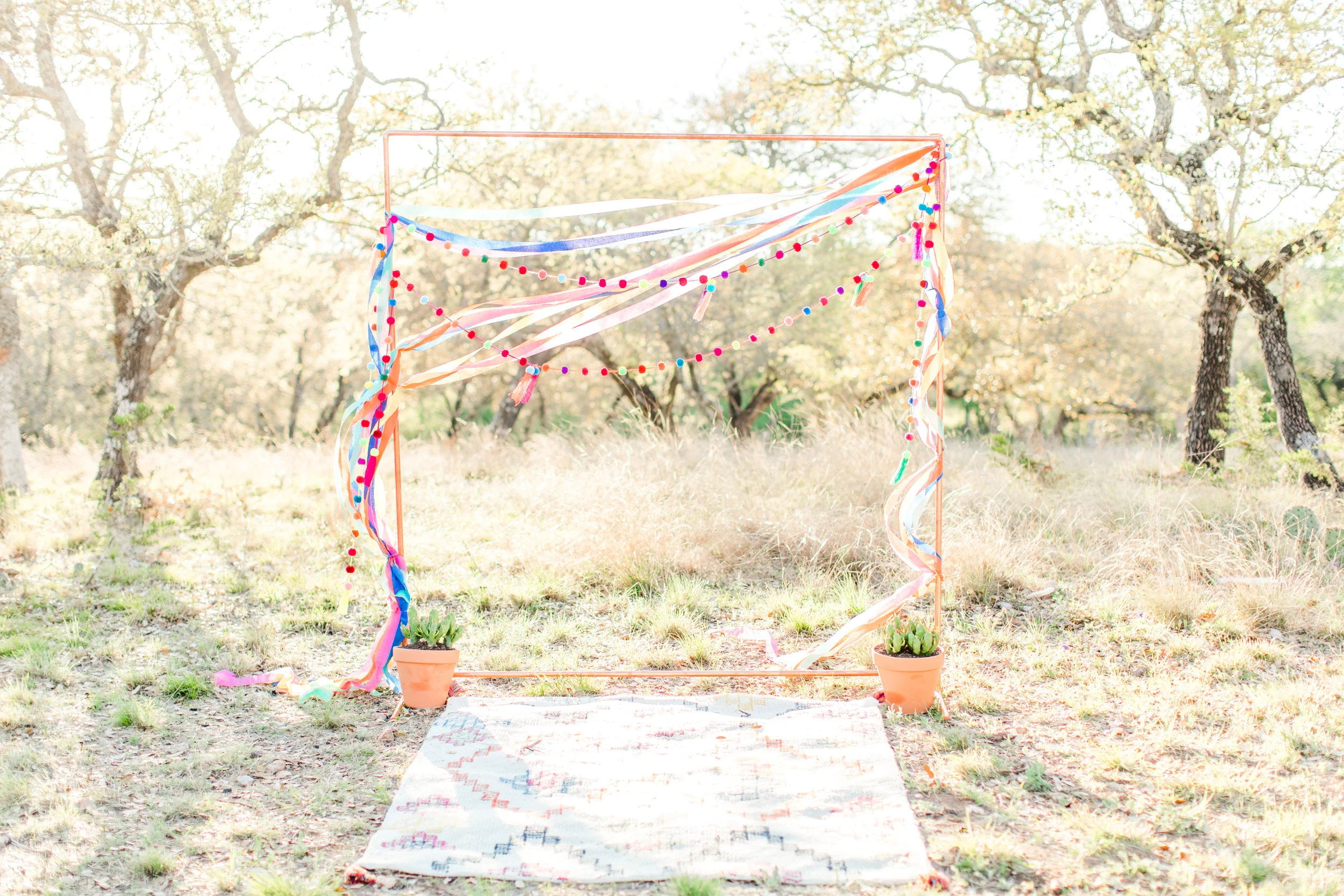 Allison Jeffers Photography