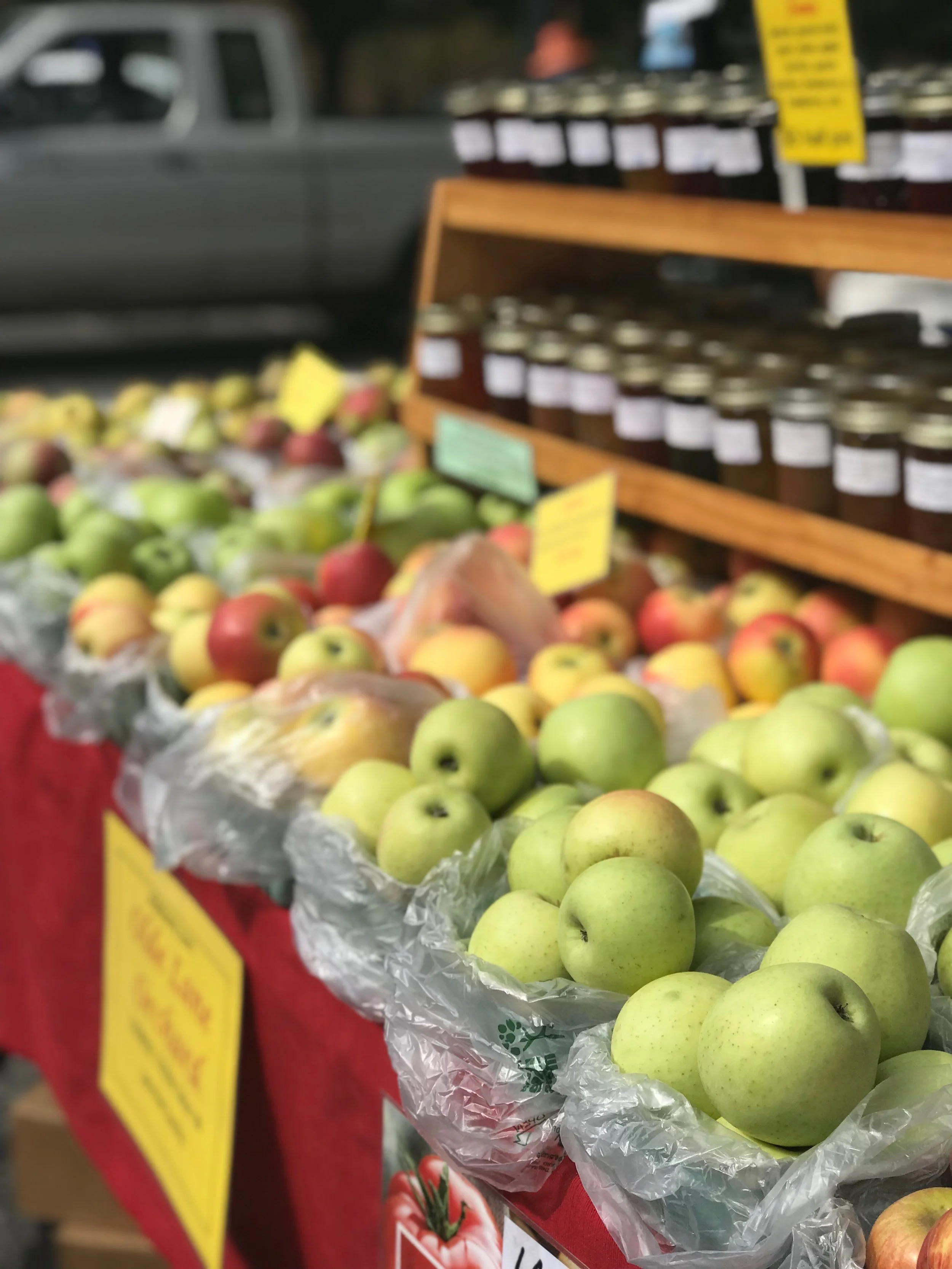 Hoosier Bounty Backdrop.JPG