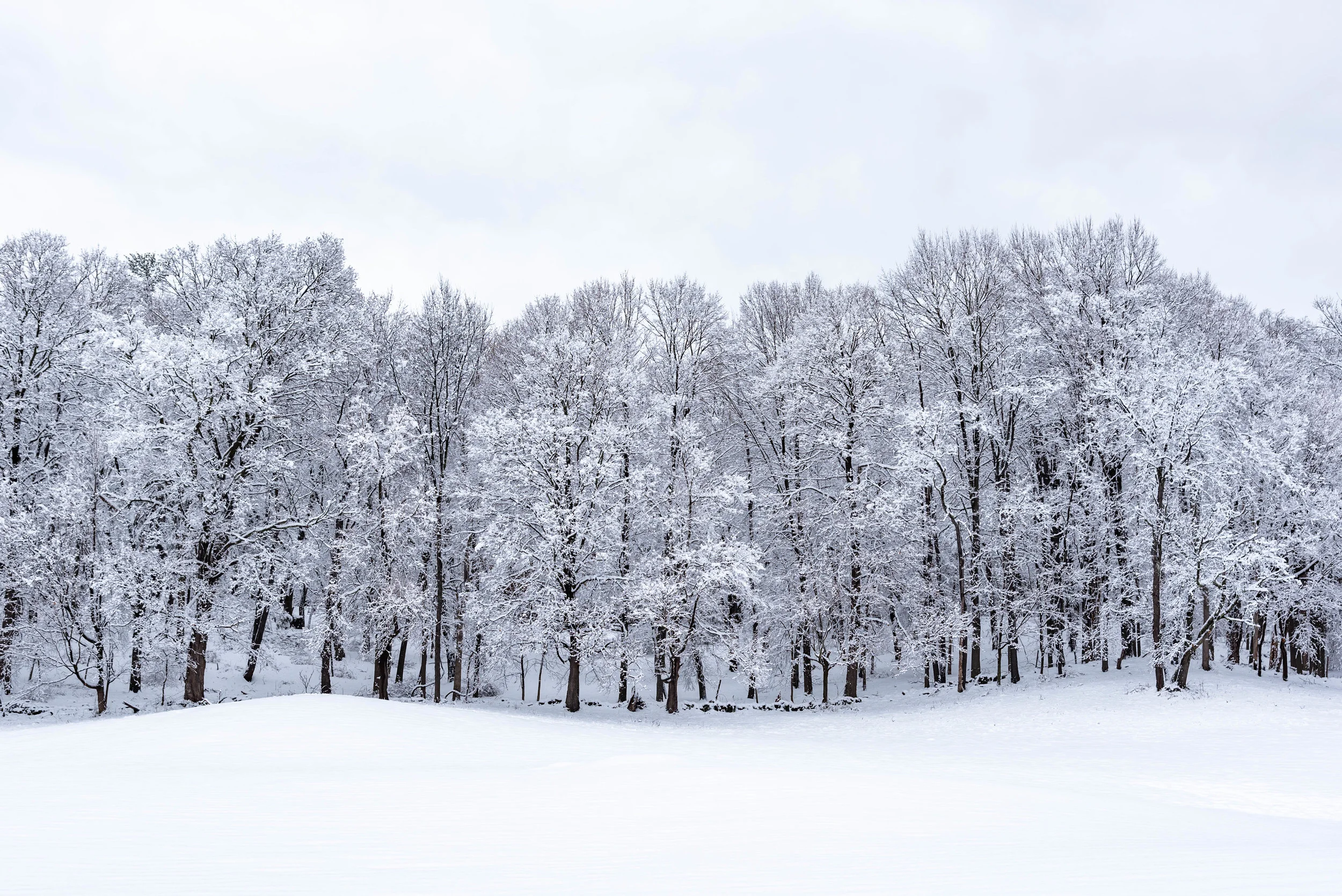 4.PC_2018_1096 copy.jpg