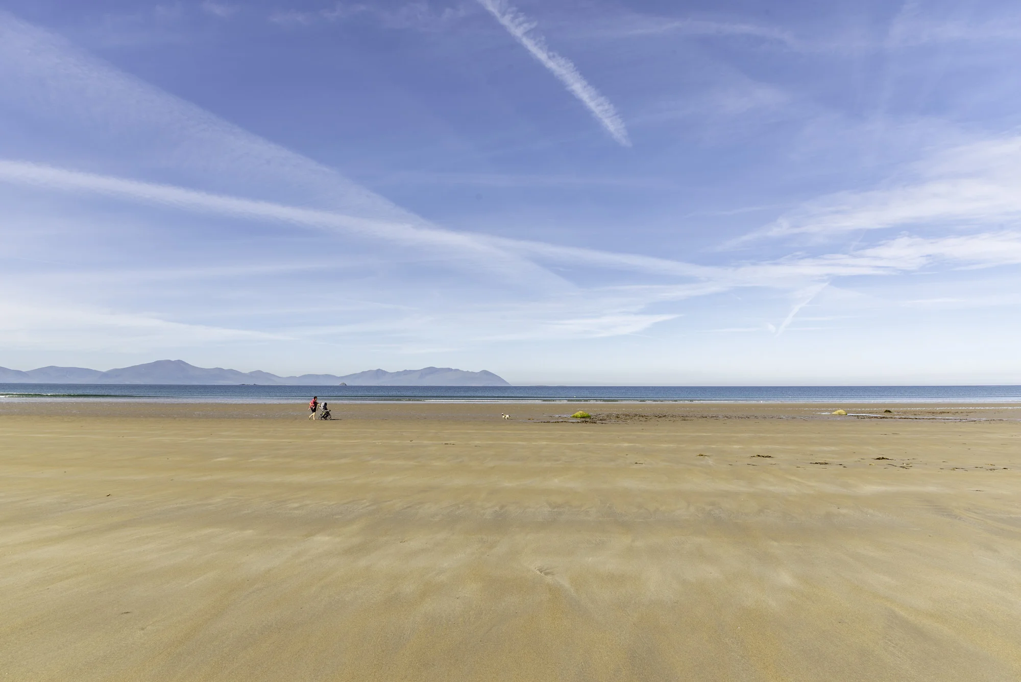 91.PC_2018_2881 copy.jpg