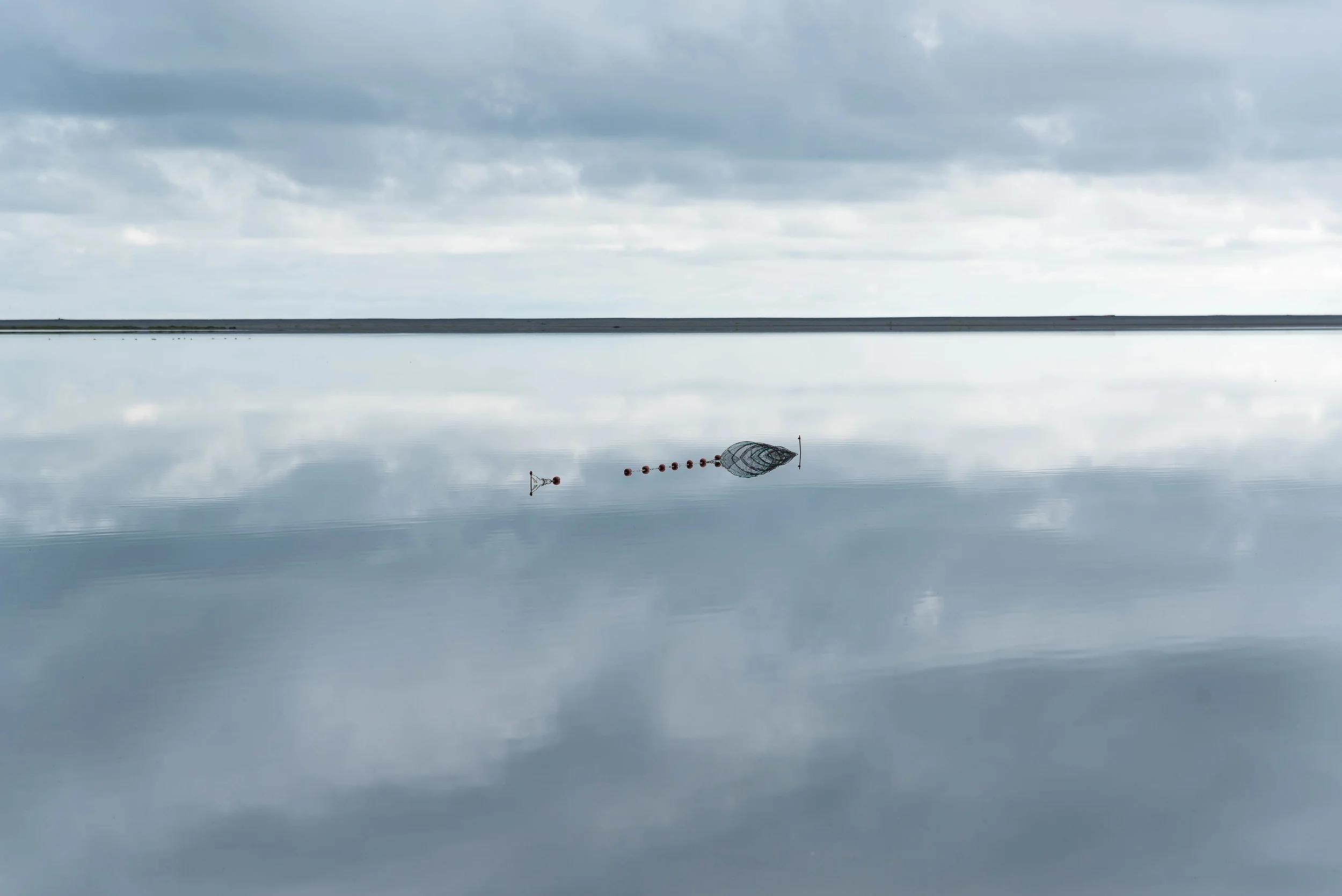 landscape.waterseries5 copy.jpg