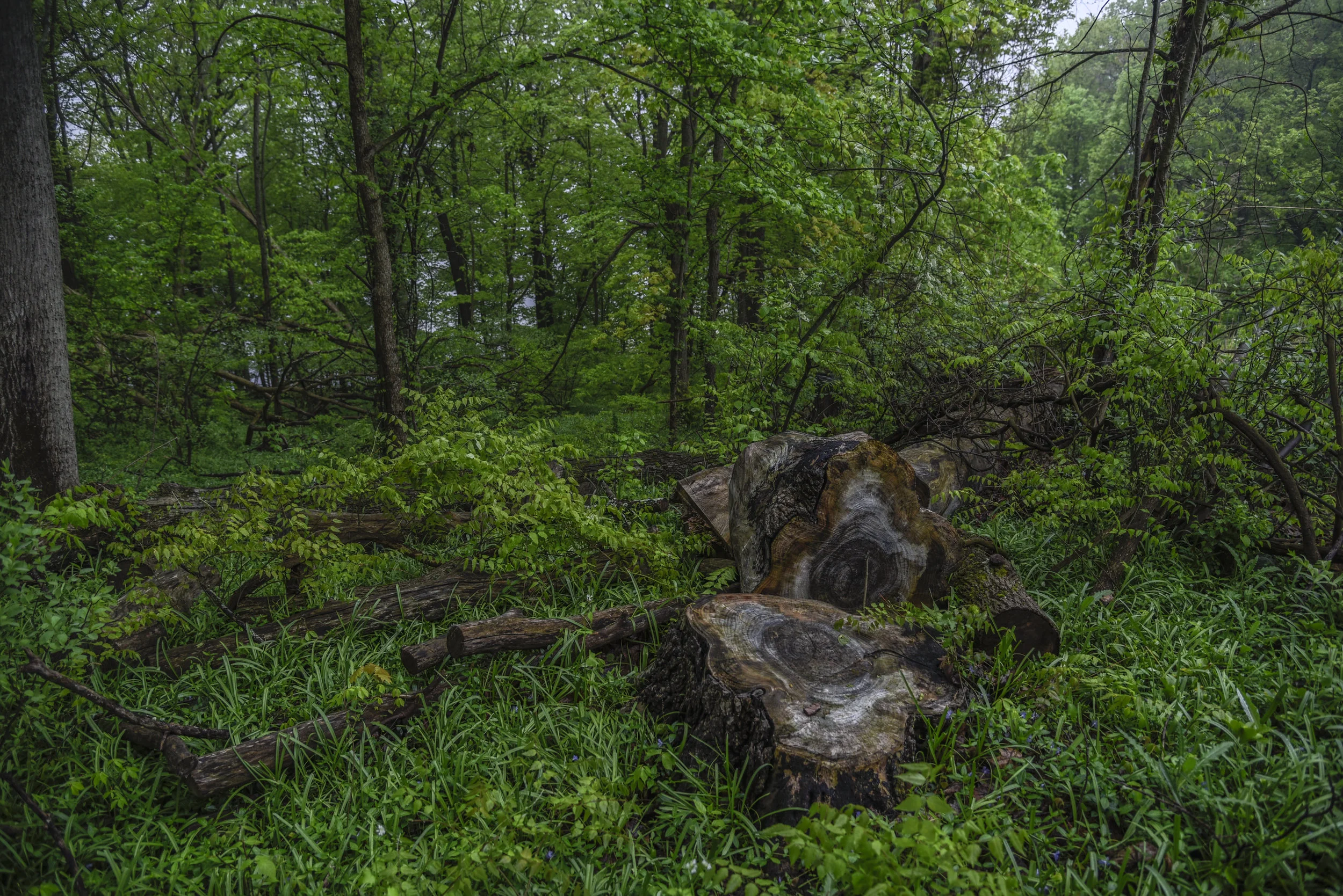 0_PC_2018_2646 copy.jpg