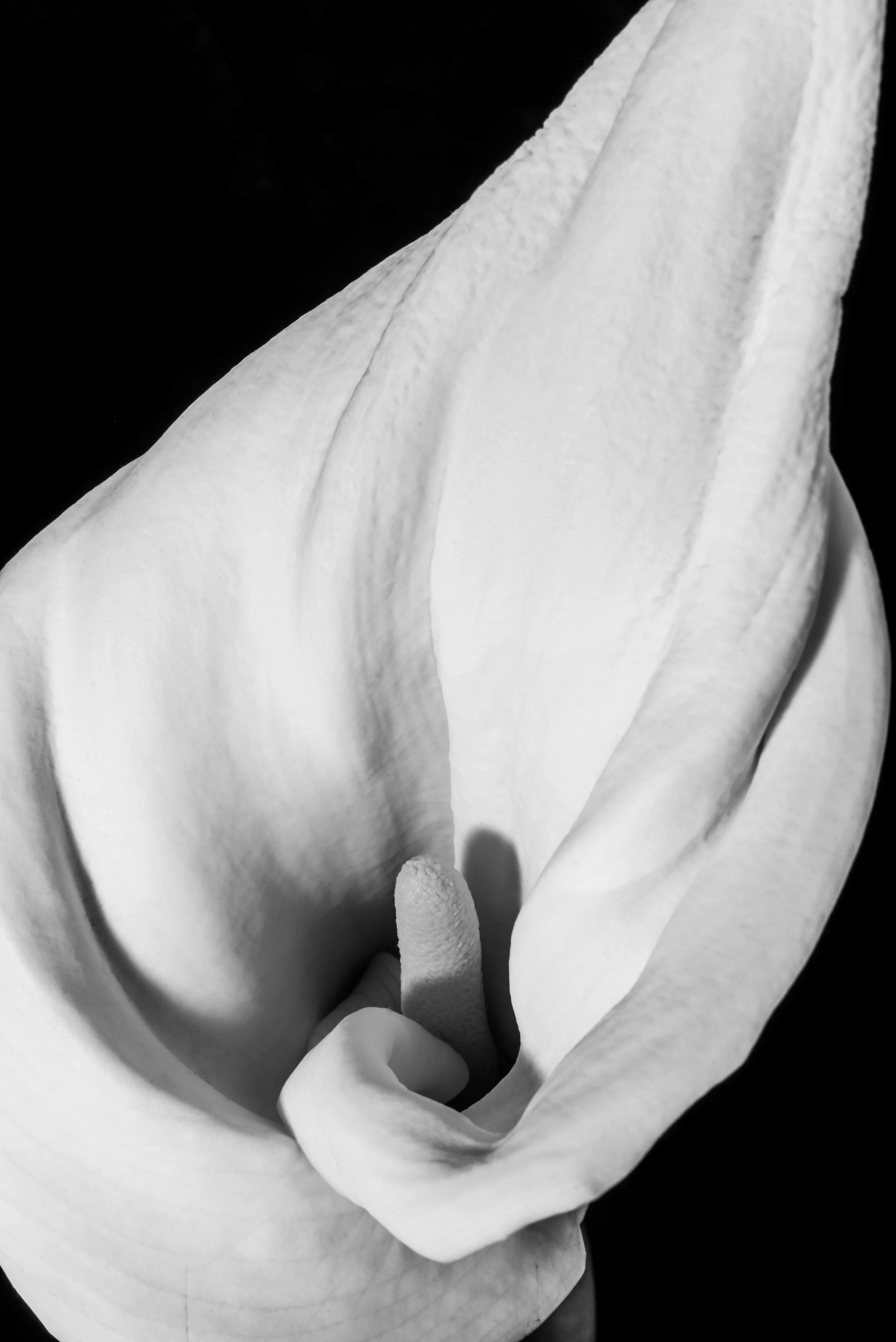 PC_2018_0579-Edit-2 copy.jpg