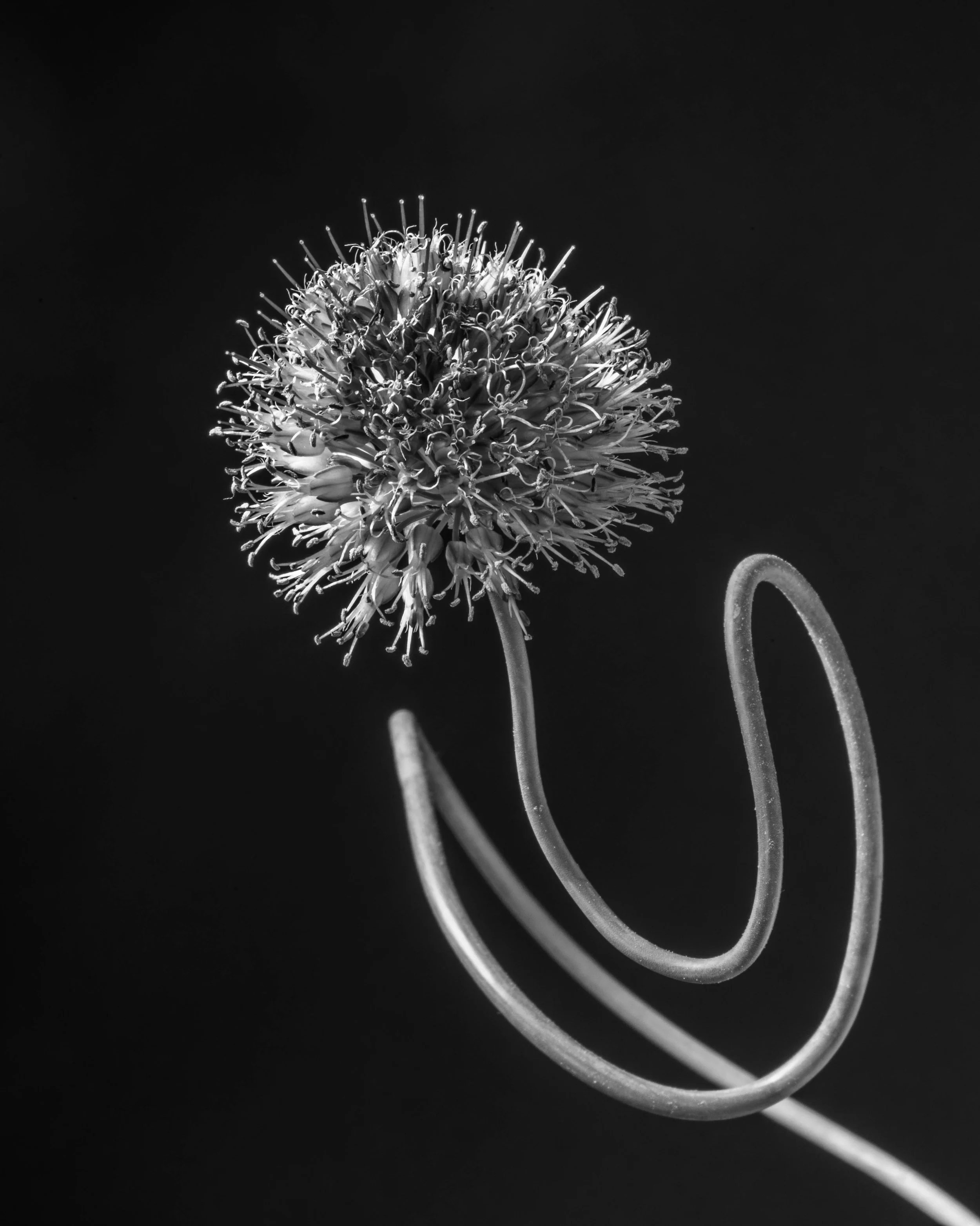 PC_2018_1880 copy.jpg