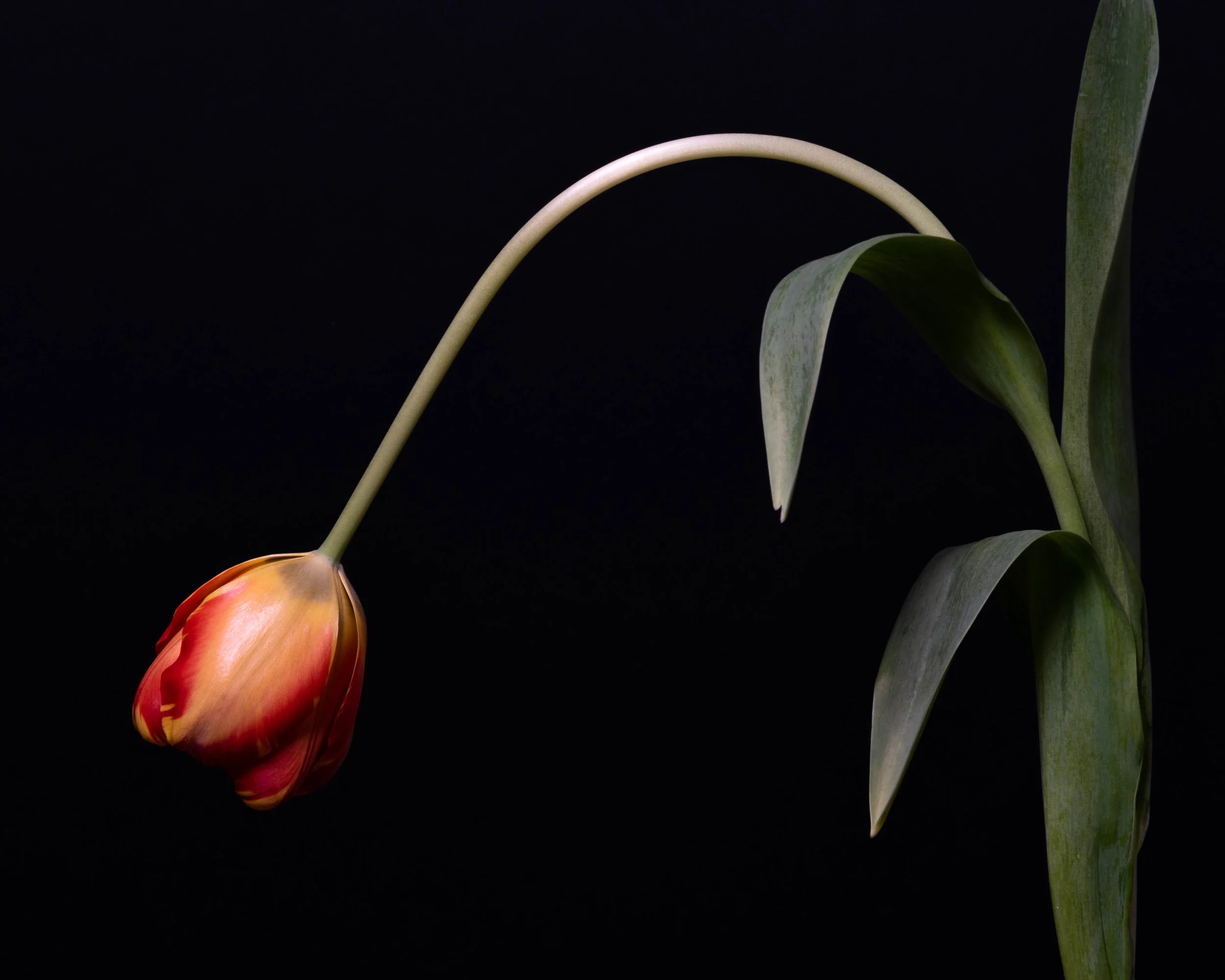 PC_2018_2422 copy.jpg