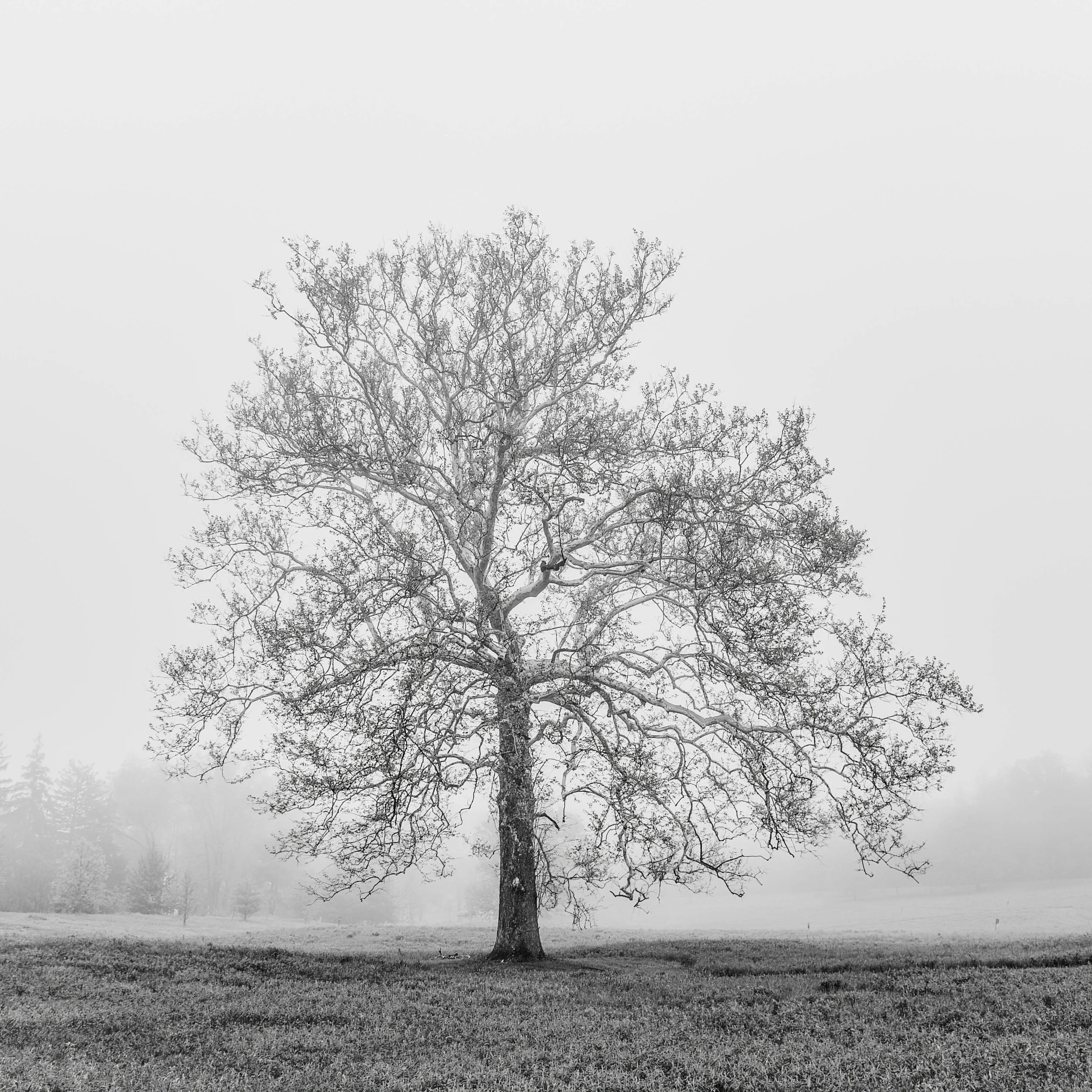 2.PC_2018_2624-Edit copy.jpg