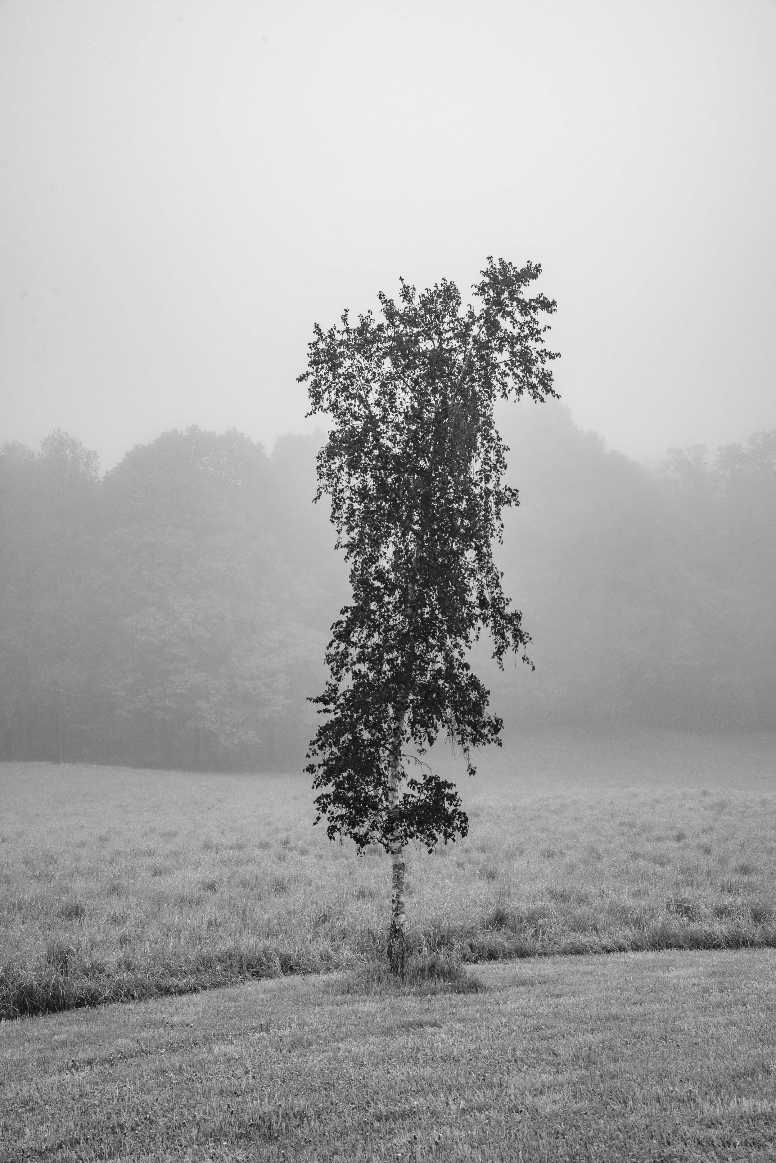 3.PC_2018_2663 copy.jpg