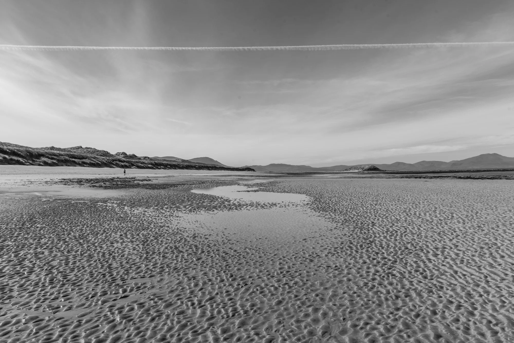 5.PC_2018_2899 copy.jpg