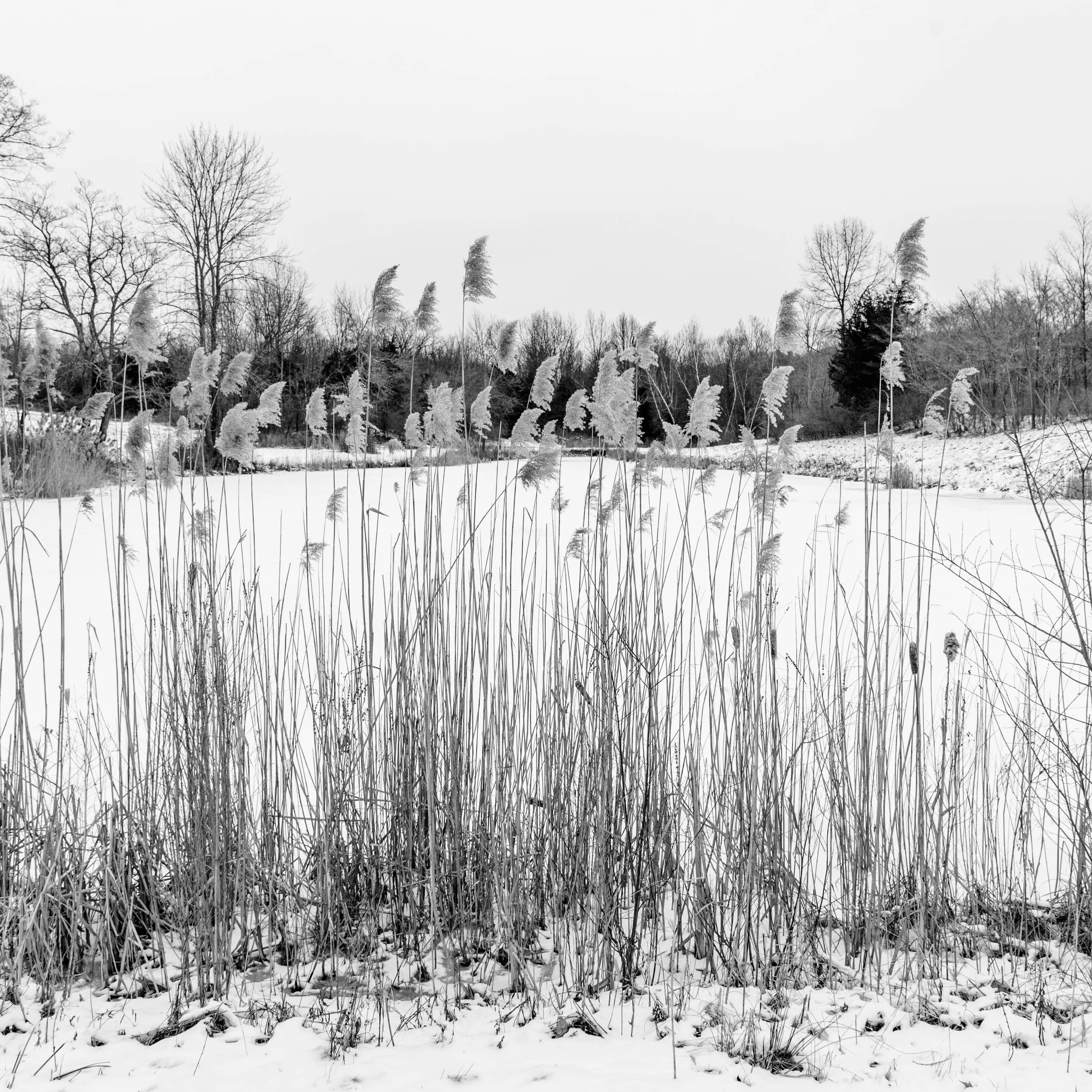 6.PC_2018_0487 copy.jpg