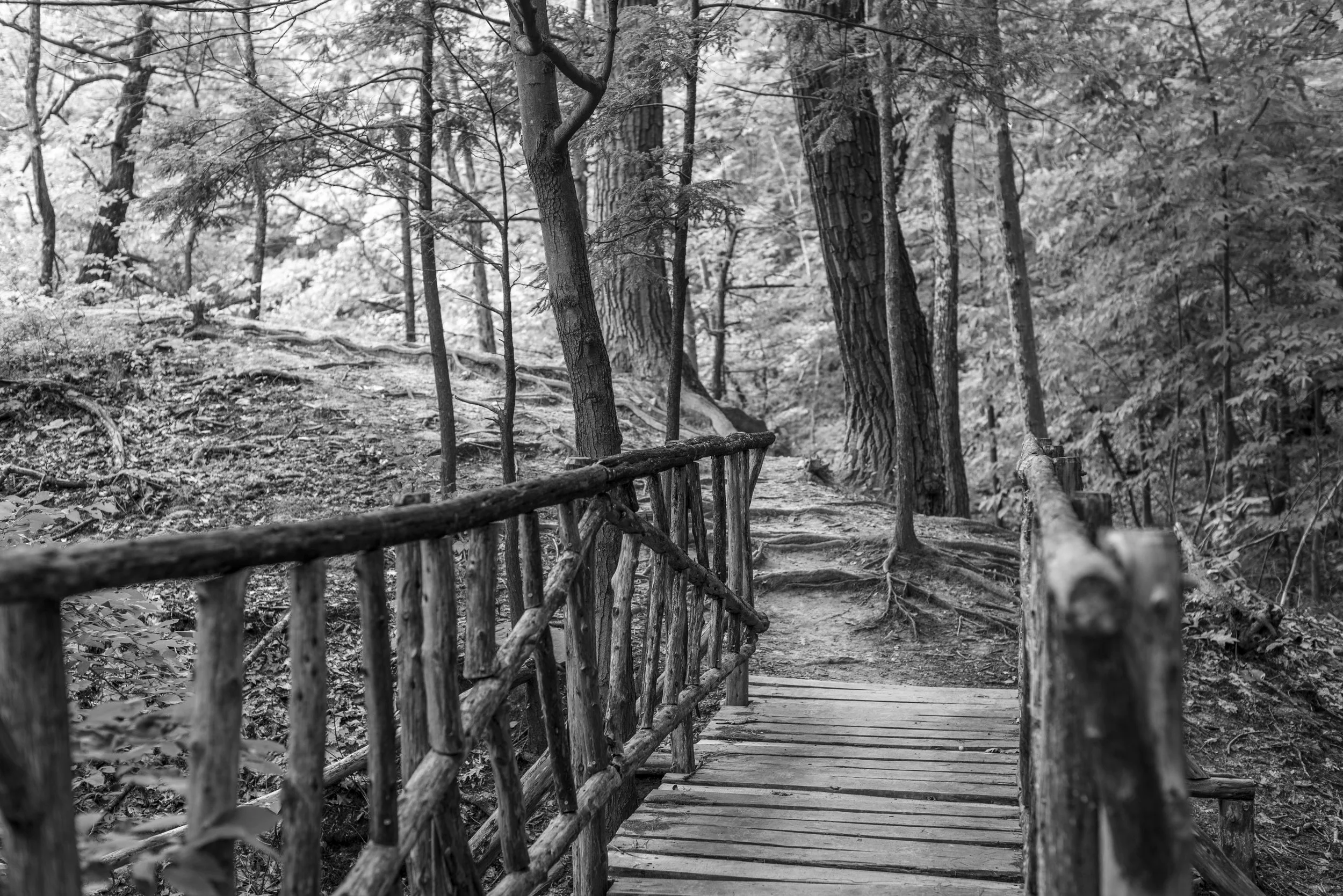 3PC_2018_3659 copy.jpg