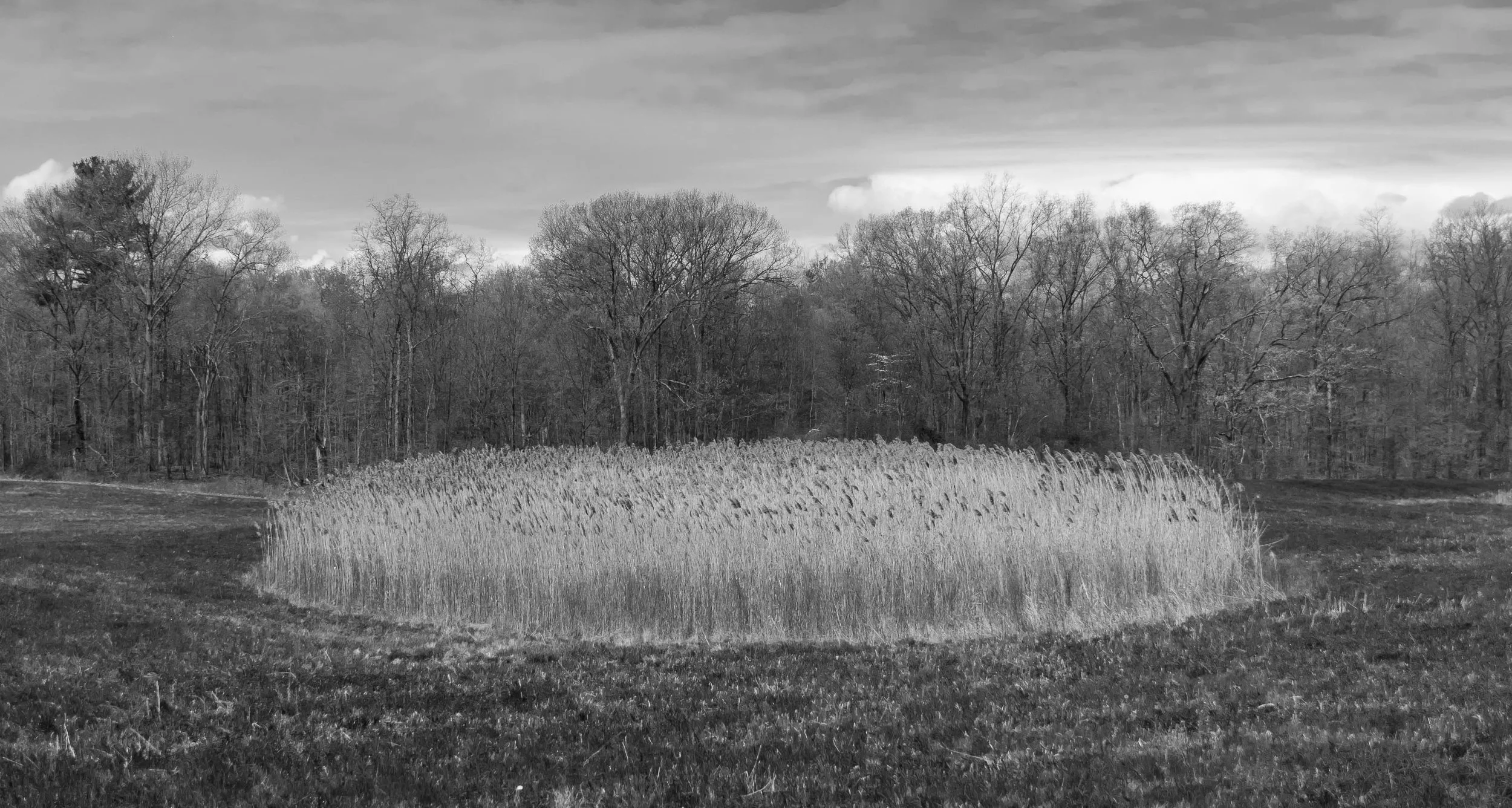 landscape.earth2 copy.jpg