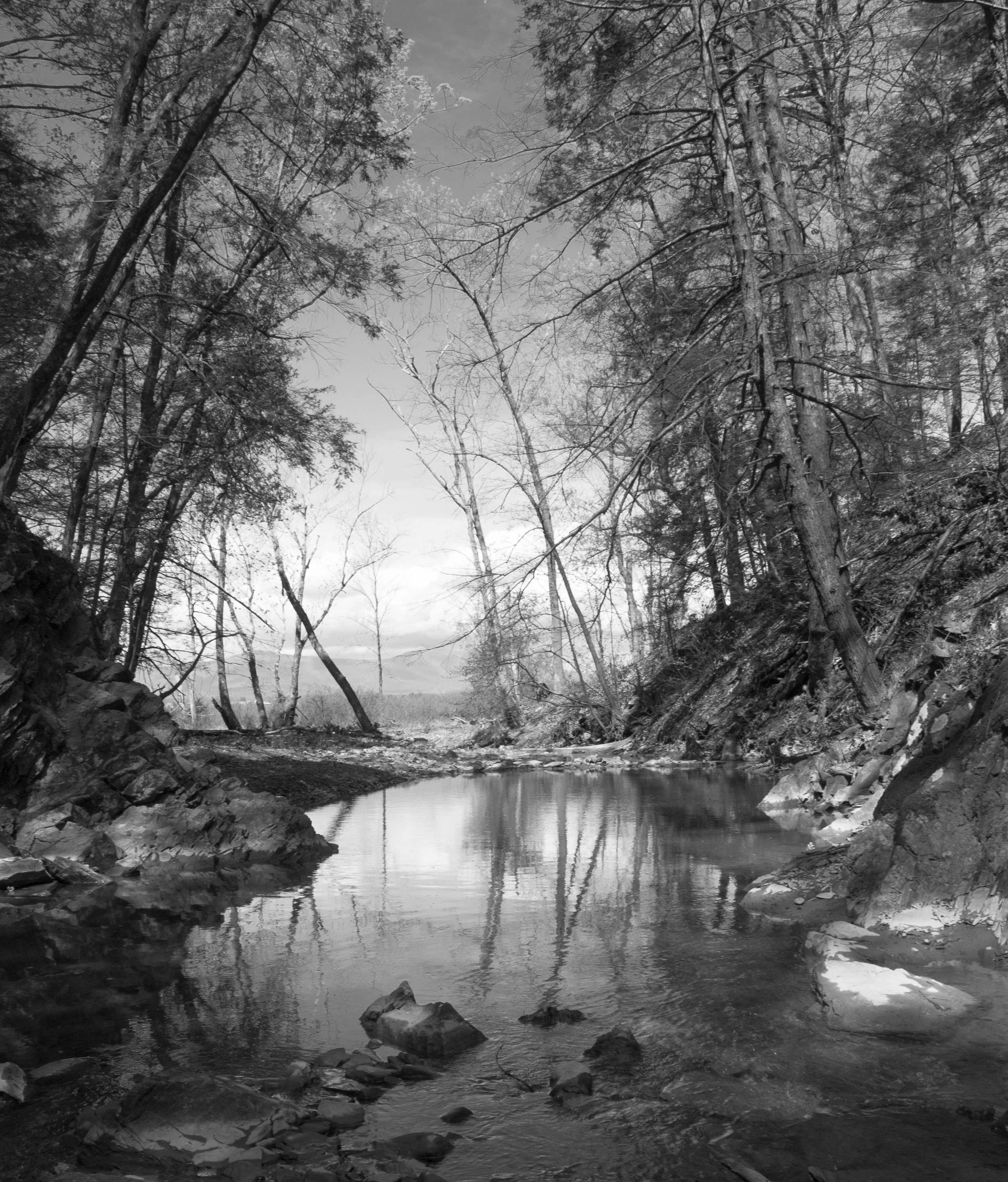 landscape.waterseries9 copy.jpg