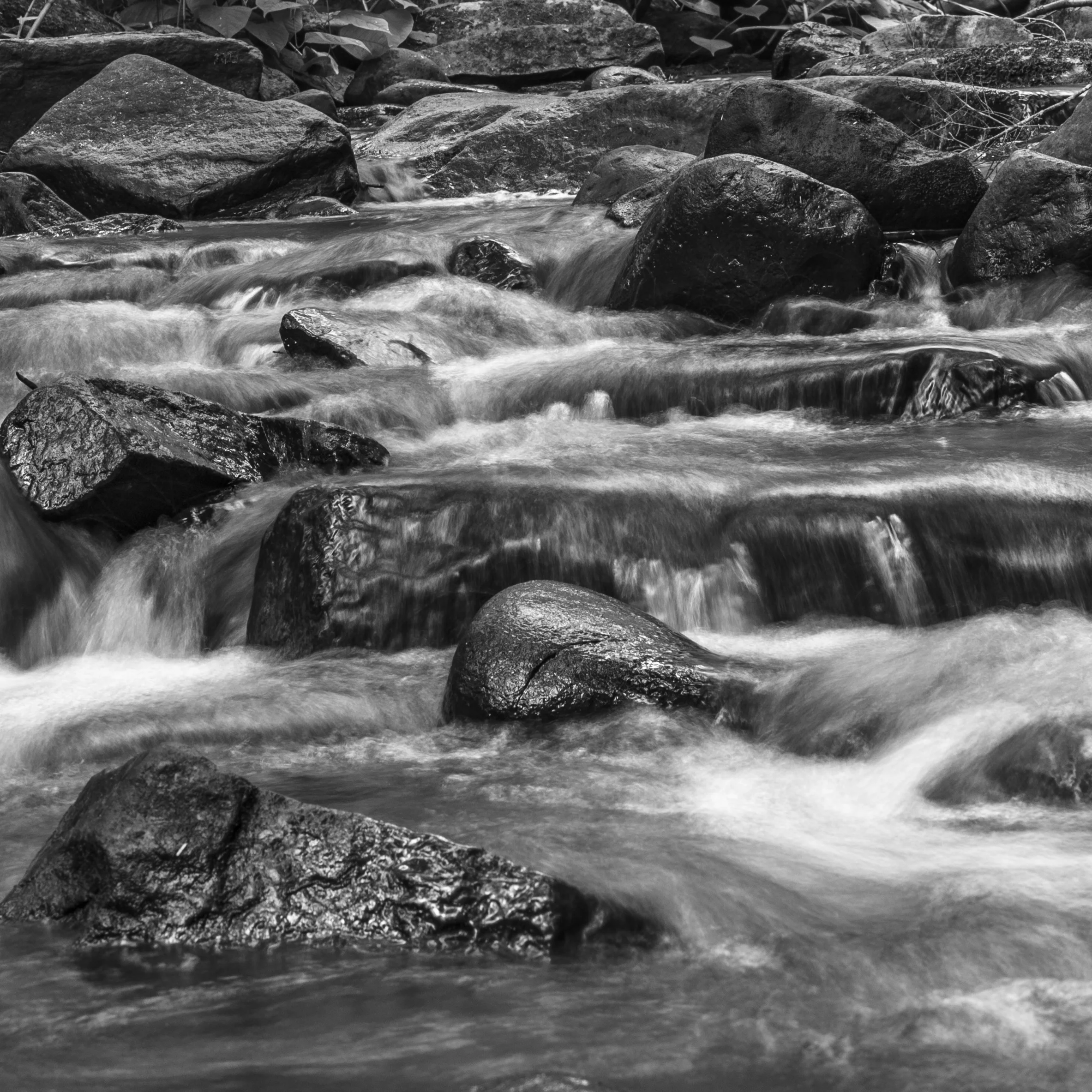 PC_2018_3641-2 copy.jpg