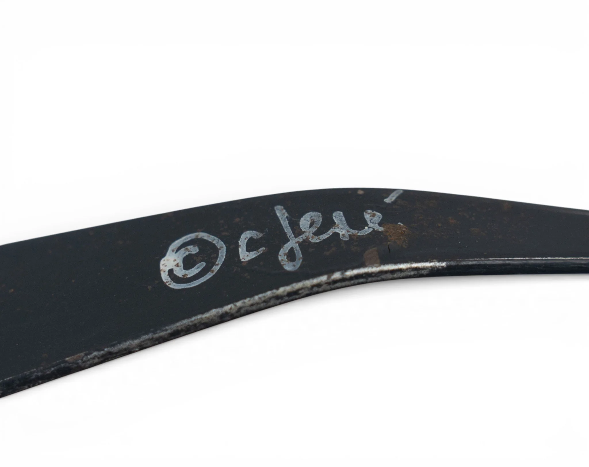 curtis jere birds in flight_6.jpg