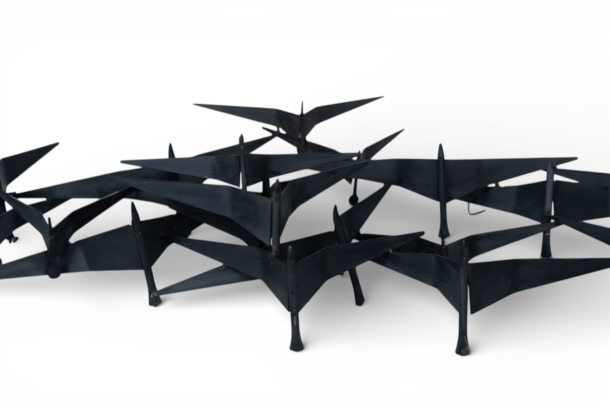 curtis jere birds in flight_16.jpg