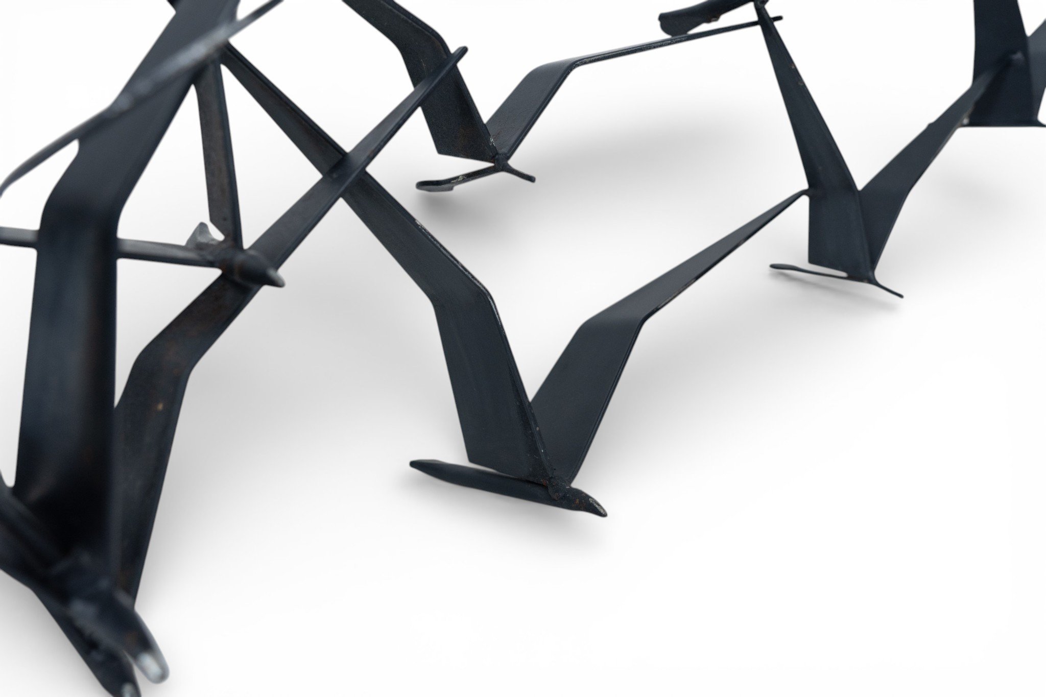 curtis jere birds in flight_12.jpg