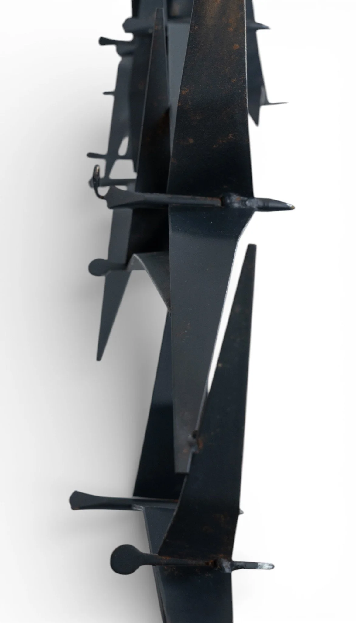 curtis jere birds in flight_13.jpg