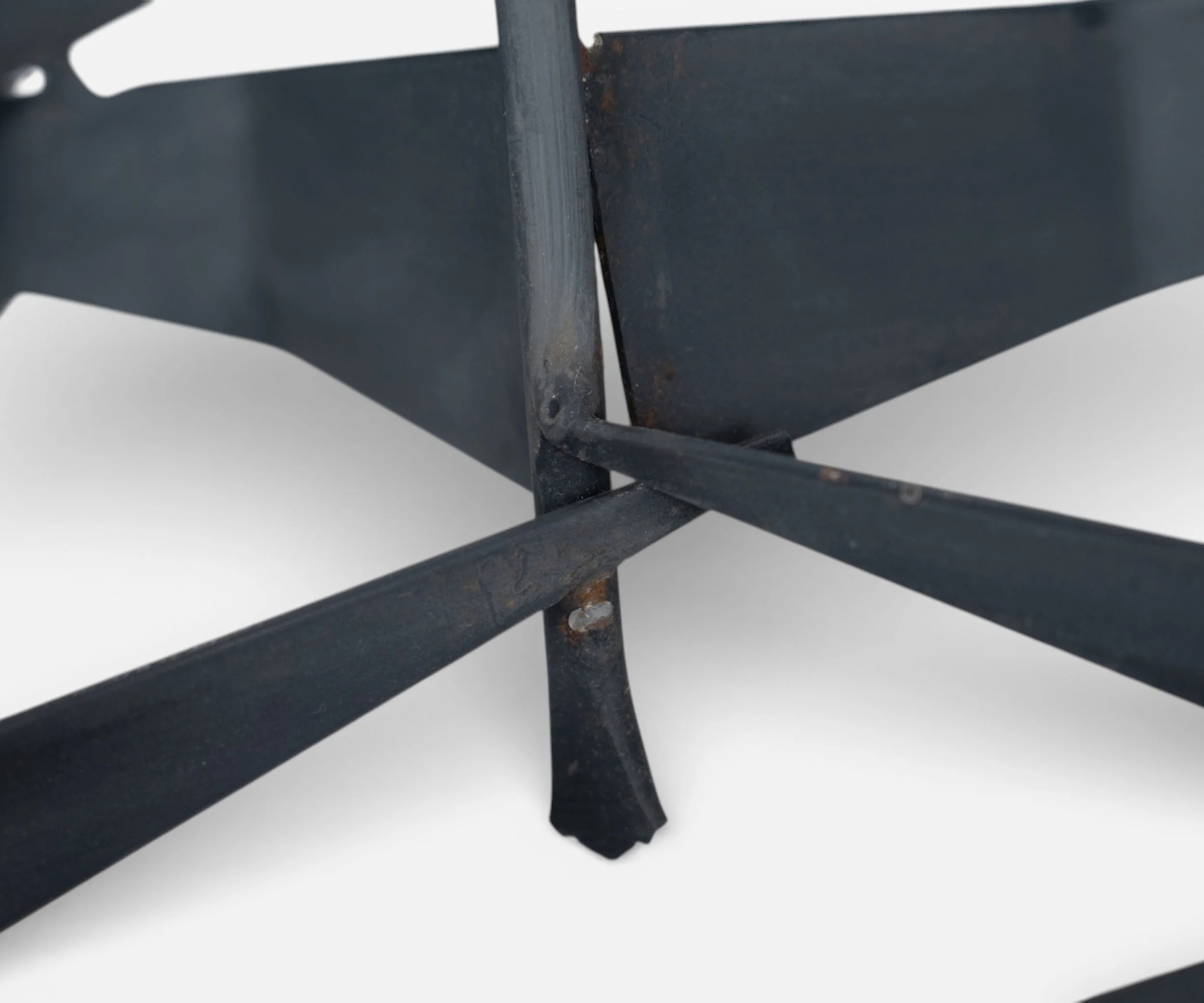 curtis jere birds in flight_14.jpg